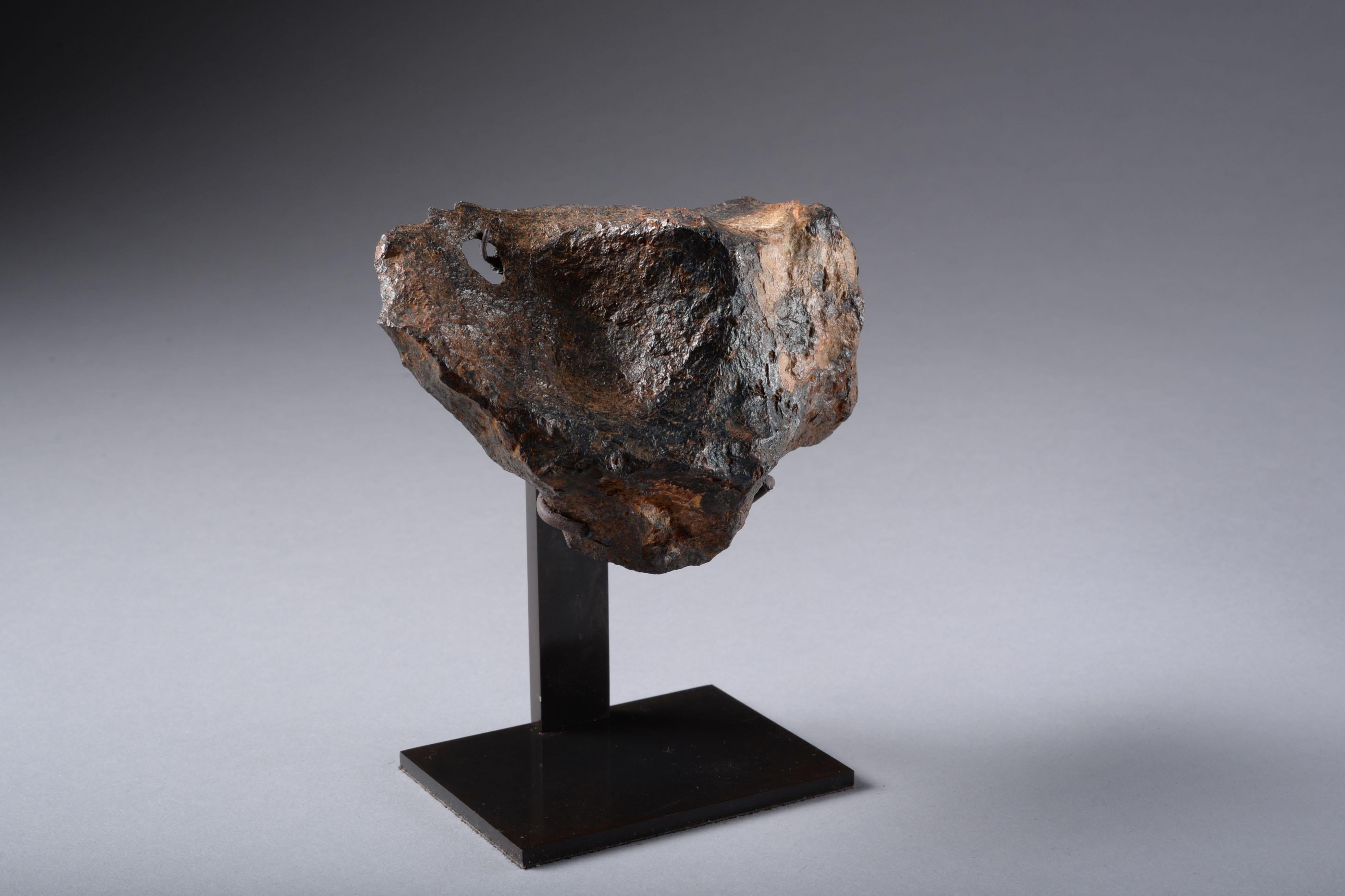 Sculptural Canyon Diablo Iron Octahedrite Meteorite 2