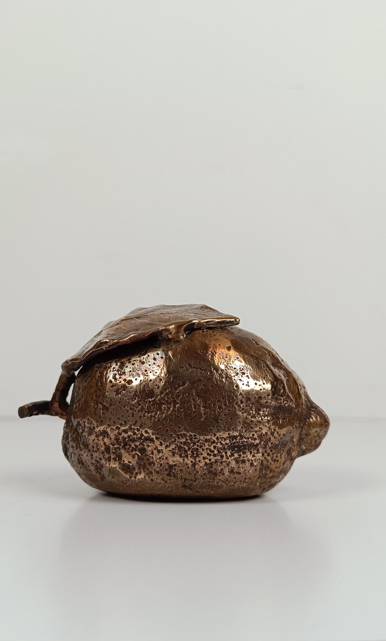 Sculptural Cast-Brass Paperweight Shaped as an Amalfi Coast Lemon, 1970s im Angebot 9