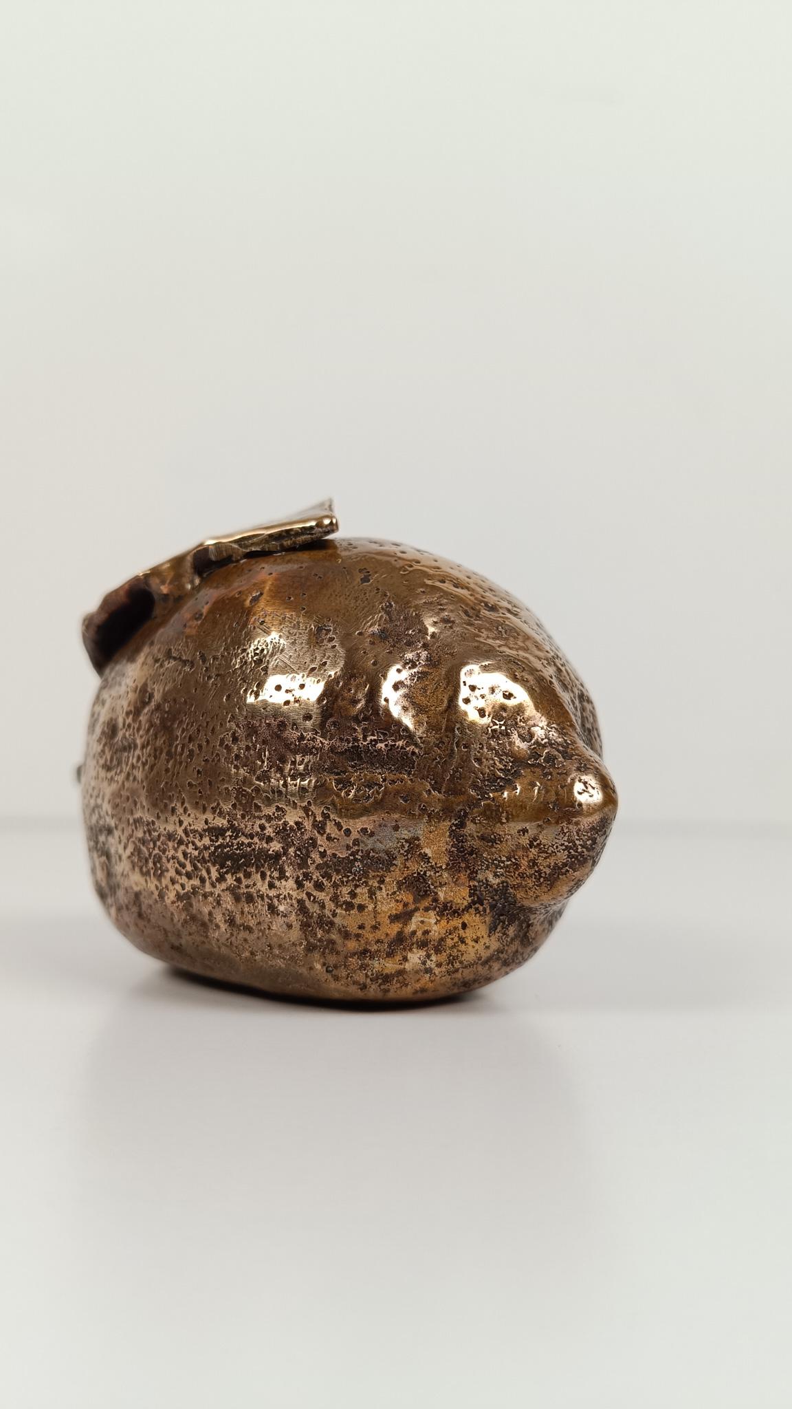 Sculptural Cast-Brass Paperweight Shaped as an Amalfi Coast Lemon, 1970s im Angebot 10