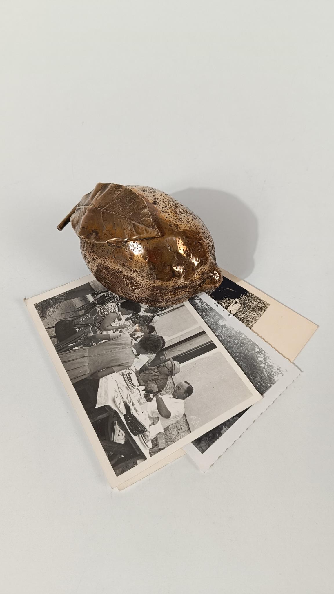 Sculptural Cast-Brass Paperweight Shaped as an Amalfi Coast Lemon, 1970s im Angebot 12