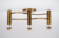 Set of Sculptural Ceiling and Wall Light Flush Mount Chandelier by Leola, 1960s