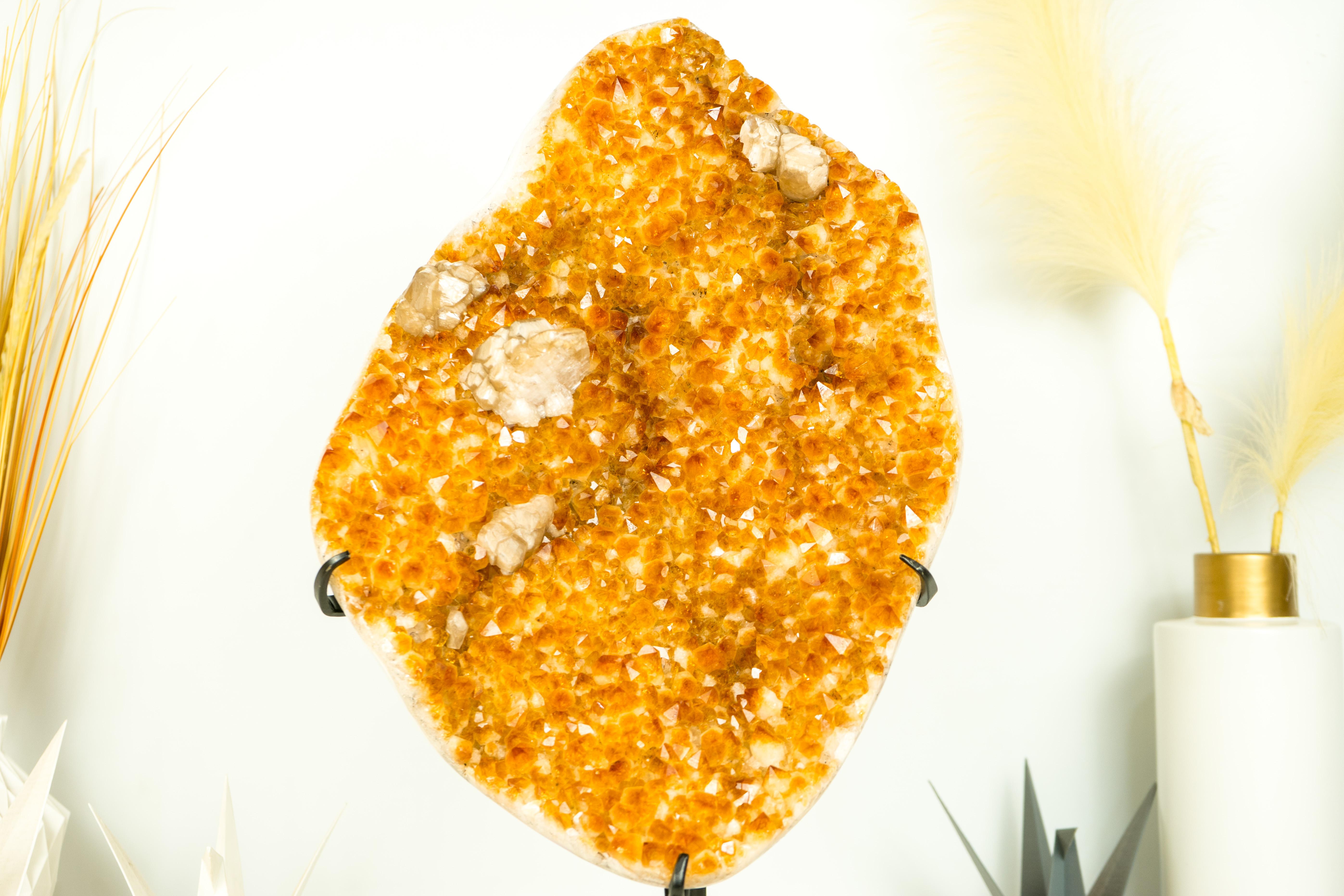 Pantalla mediana, Racimo de Citrino Grado Galería con Estalactitas Florales de Citrino y Calcita 

▫️ Descripción ▫️

Este ejemplar, un excepcional Racimo de Citrino de Calidad de Galería, presenta una rara formación de Estalactitas Florales y posee