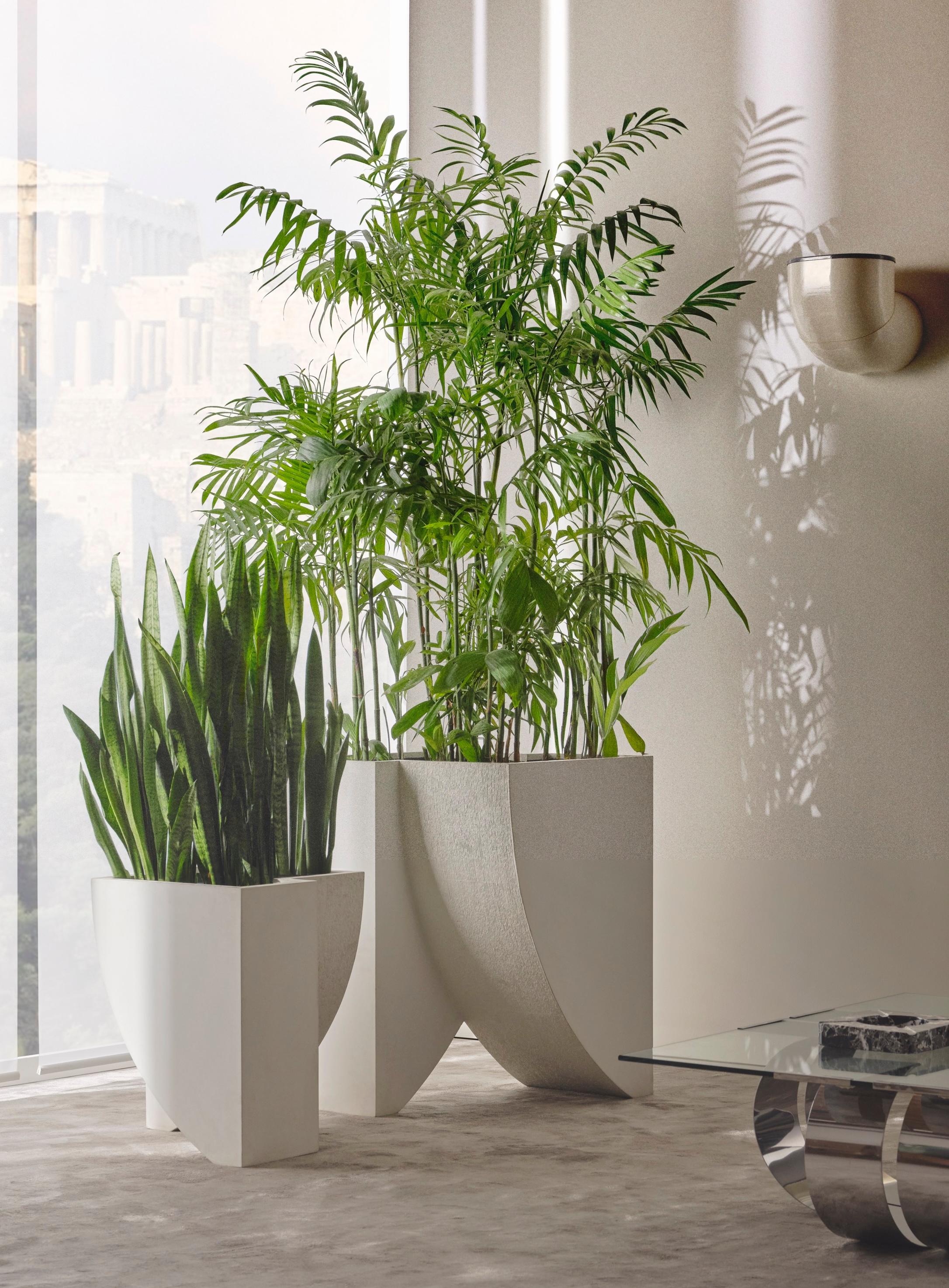 Sculptural Concrete Planter, ICARUS 01 by Sirak (short) For Sale 3