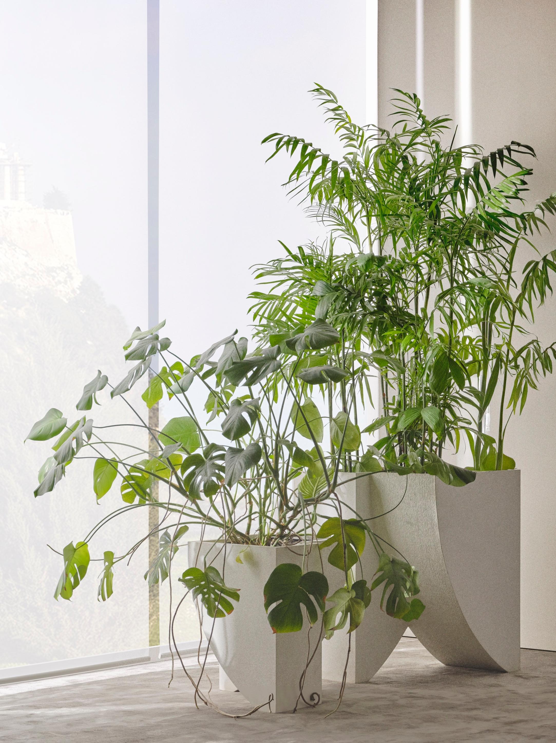 Sculptural Concrete Planter, ICARUS 01 by Sirak (short) For Sale 4
