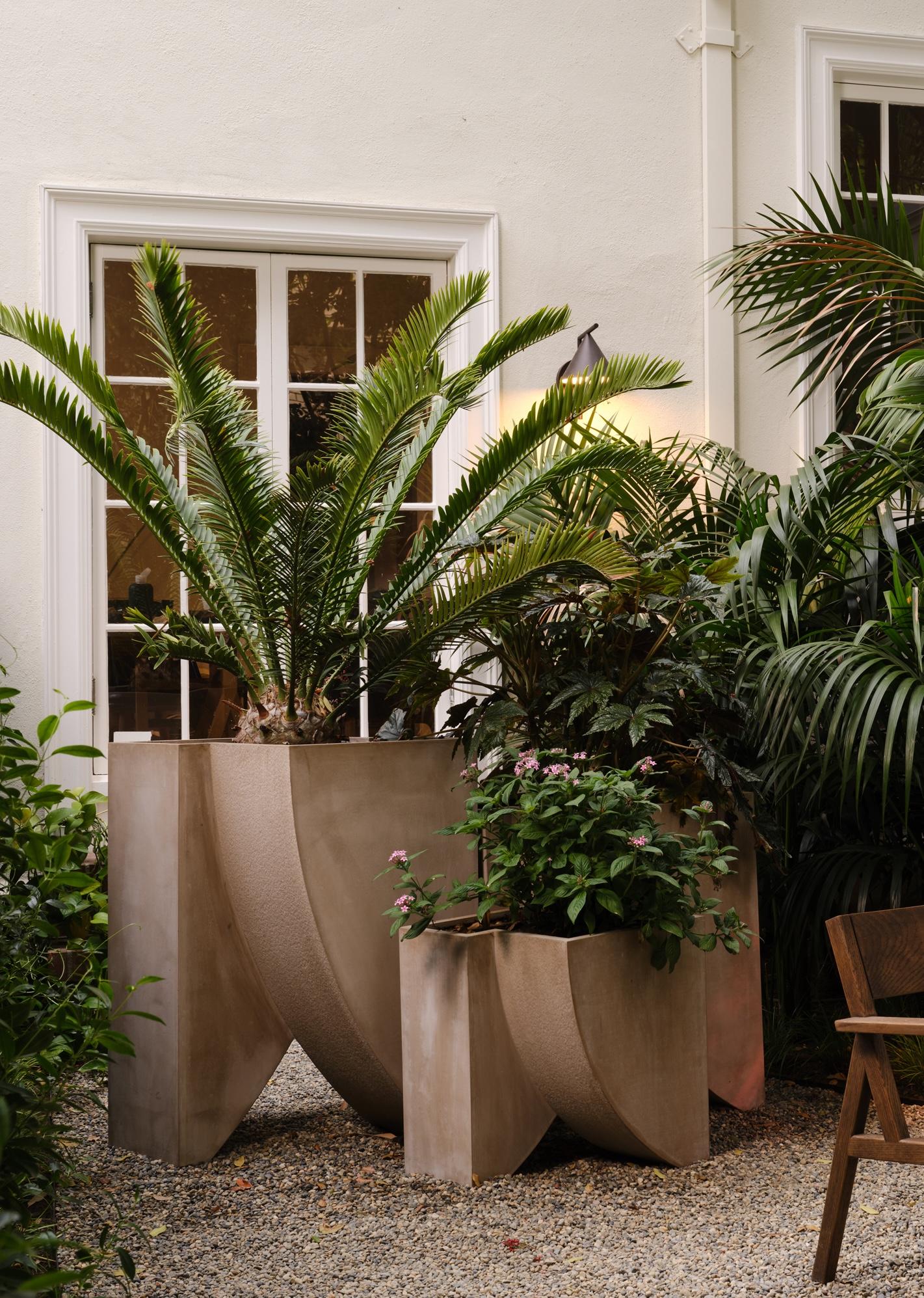 Sculptural Concrete Planter, ICARUS 01 by Sirak (short) For Sale 2