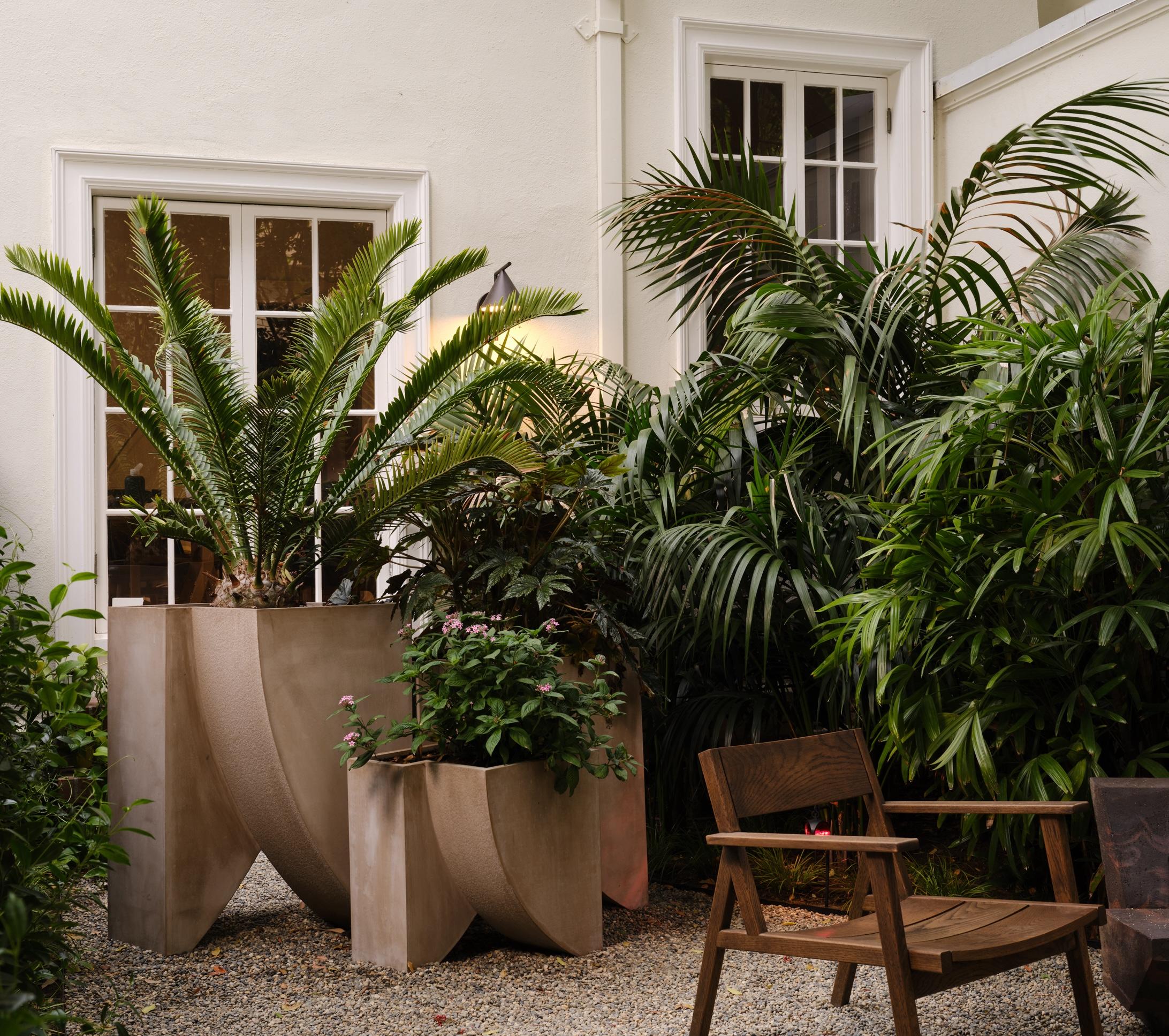 Béton Jardinière sculpturale en béton, ICARUS 03 par Sirak (haut) en vente