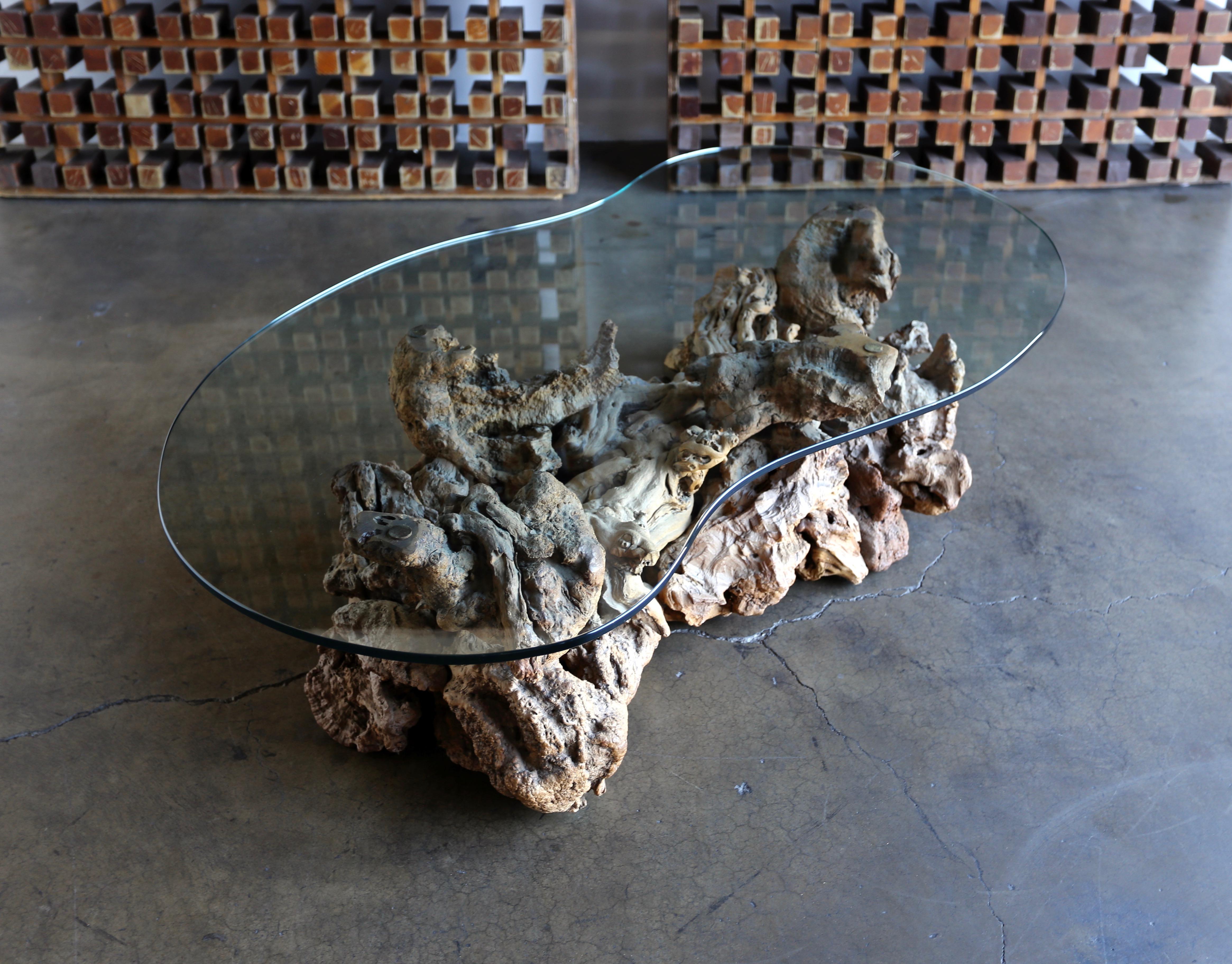 Sculptural driftwood coffee table, circa 1965. This table retains its original freeform glass top.