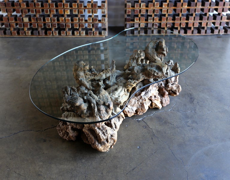 Sculptural Driftwood Coffee Table at 1stDibs