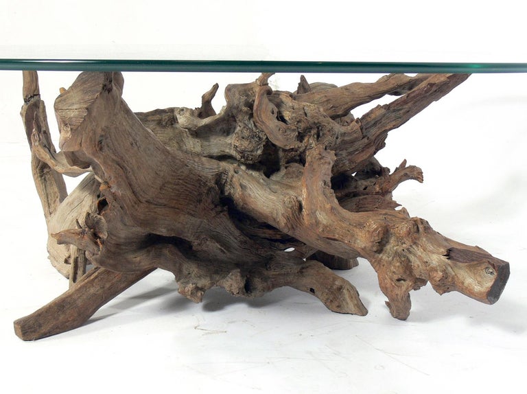 American Sculptural Driftwood Coffee Table