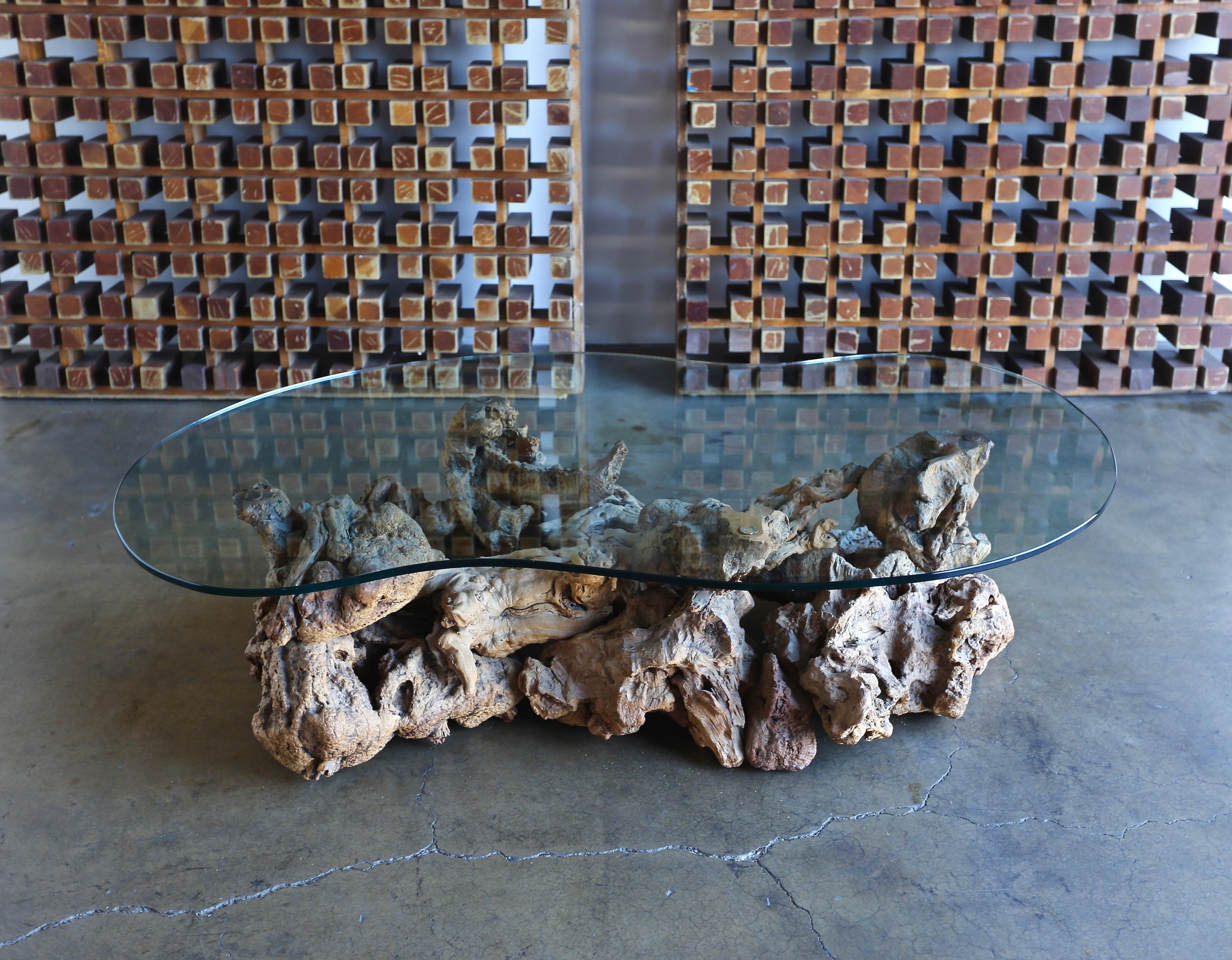 Mid-Century Modern Sculptural Driftwood Coffee Table