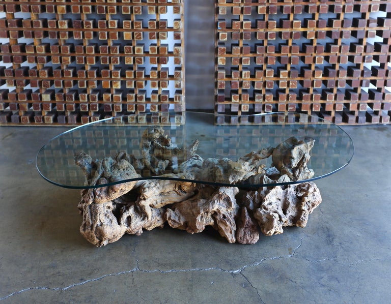 Sculptural Driftwood Coffee Table at 1stDibs