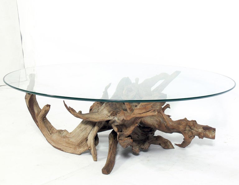Sculptural Driftwood Coffee Table In Distressed Condition In Atlanta, GA