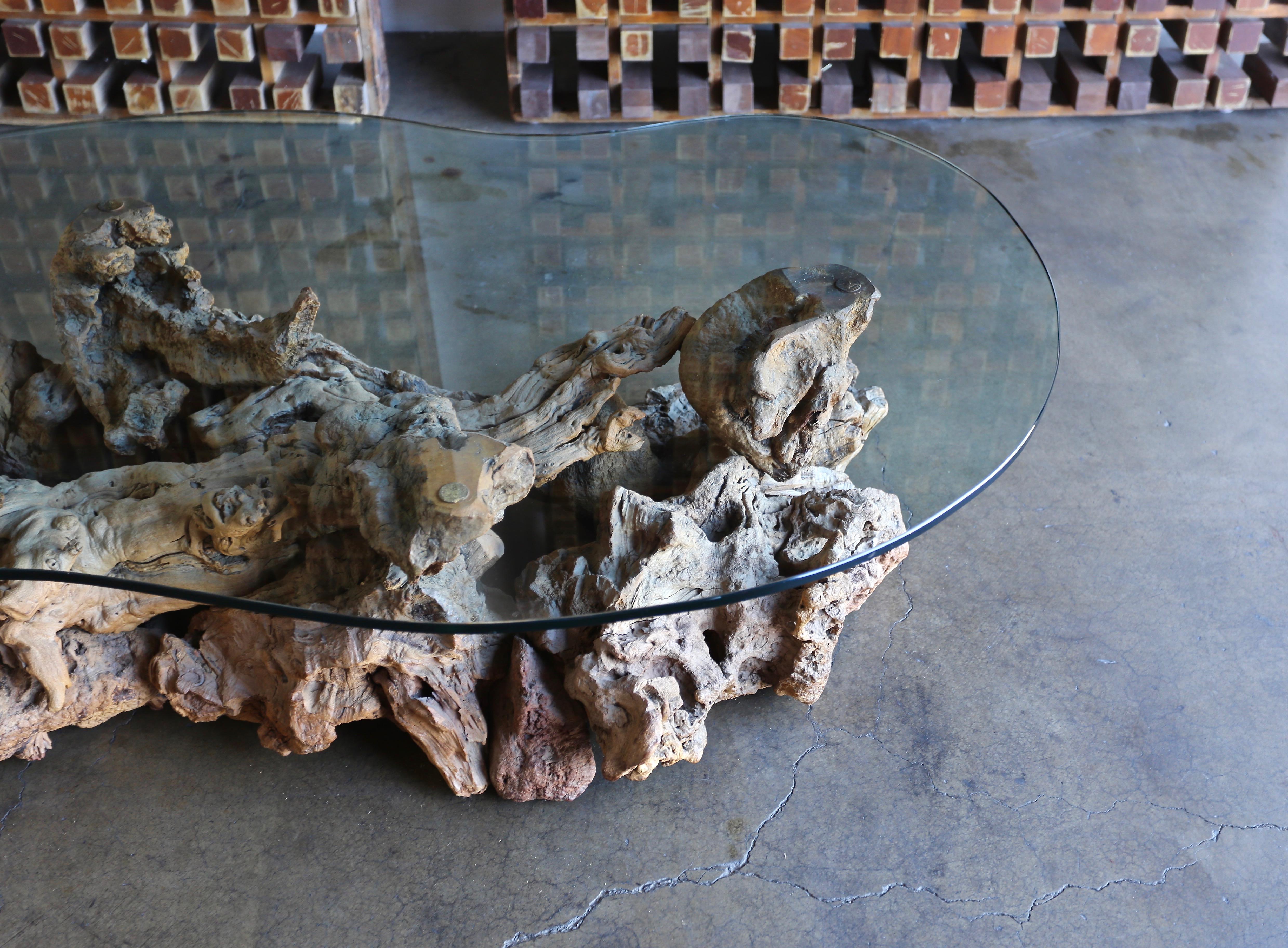 American Sculptural Driftwood Coffee Table