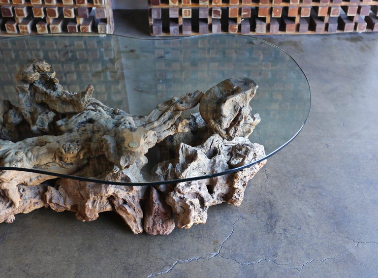 Sculptural Driftwood Coffee Table at 1stDibs
