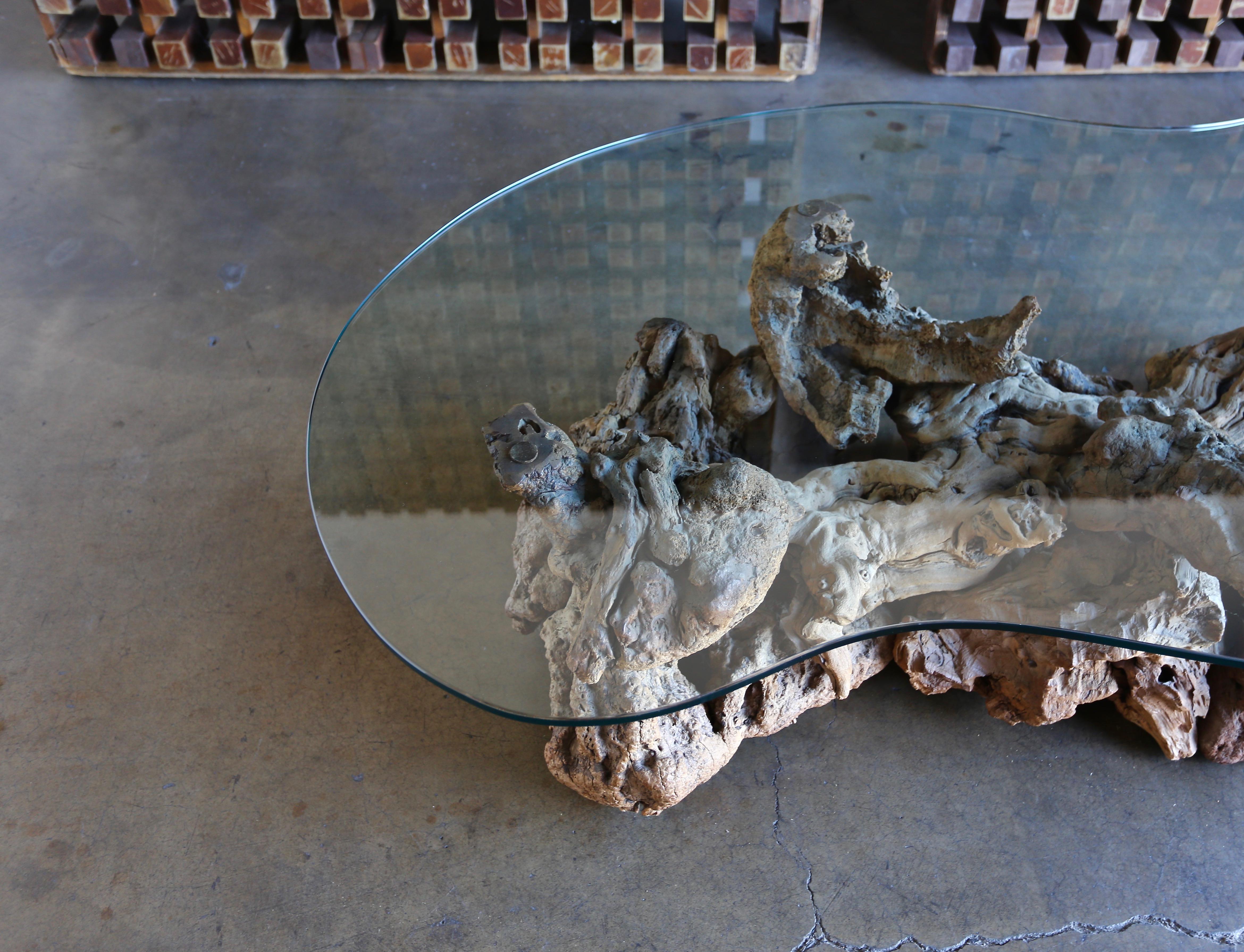 20th Century Sculptural Driftwood Coffee Table