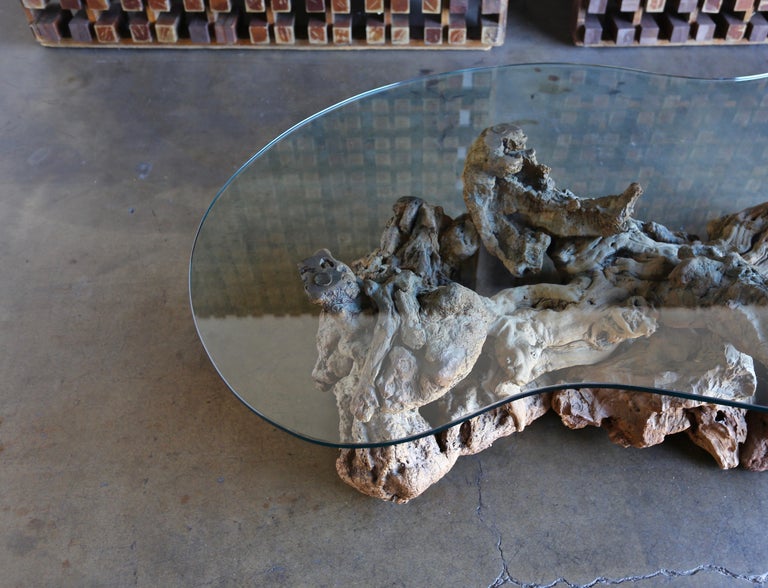 Sculptural Driftwood Coffee Table at 1stDibs