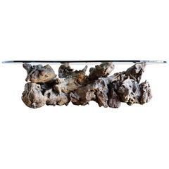 Used Sculptural Driftwood Coffee Table