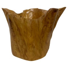 Sculptural Edge Wood Bowl Tree Trunk Art Organic Modern Centerpiece