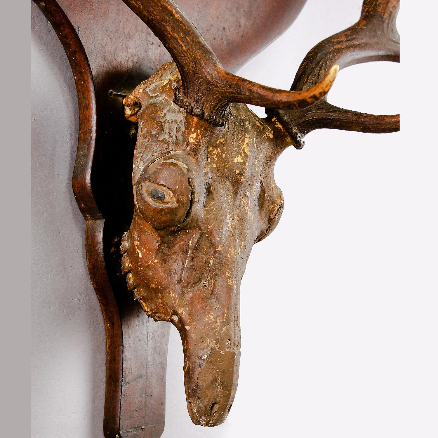 Rustic Sculptural Fallow Deer Trophy on Wood Plaque, circa 1860