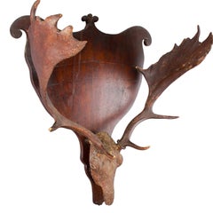 Antique Sculptural Fallow Deer Trophy on Wood Plaque, circa 1860