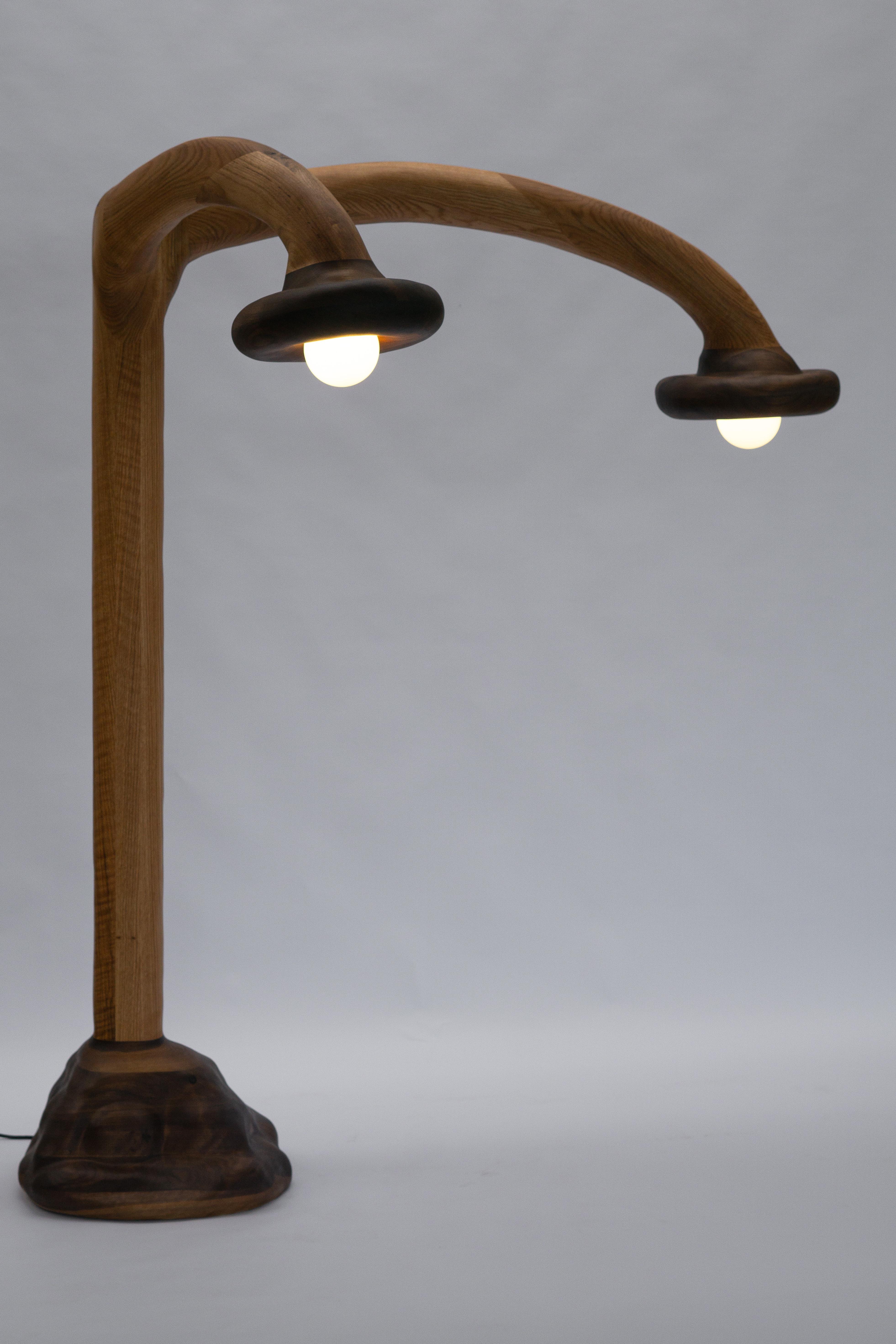 Lámpara de pie escultural - Lámpara de pie de forma orgánica en madera de roble rojo y nogal en venta 4