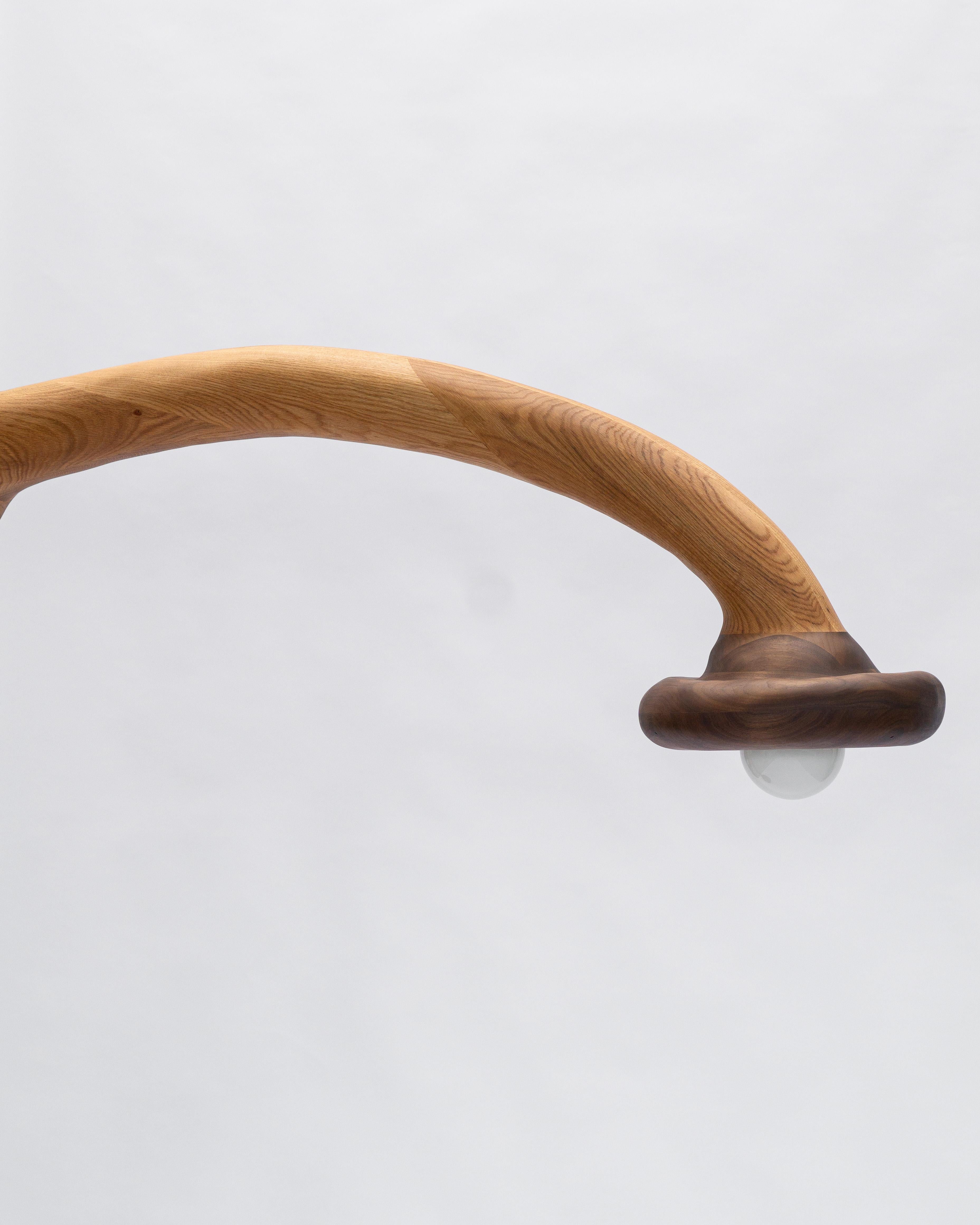 Lámpara de pie escultural - Lámpara de pie de forma orgánica en madera de roble rojo y nogal en venta 10