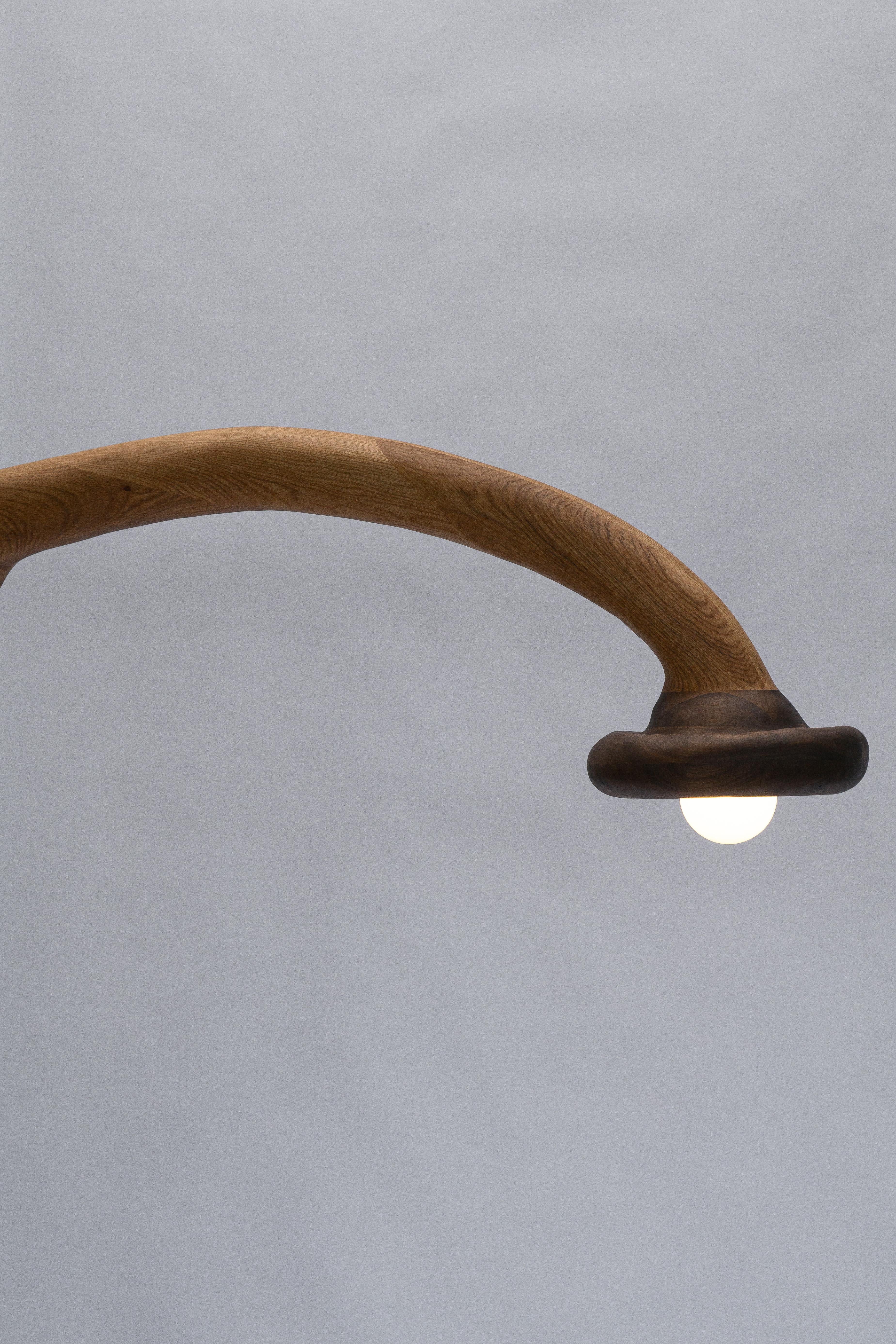 Lámpara de pie escultural - Lámpara de pie de forma orgánica en madera de roble rojo y nogal en venta 11