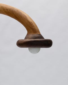 Skulpturale Stehlampe – organisch geformte Stehlampe aus roter Eiche und Nussbaumholz