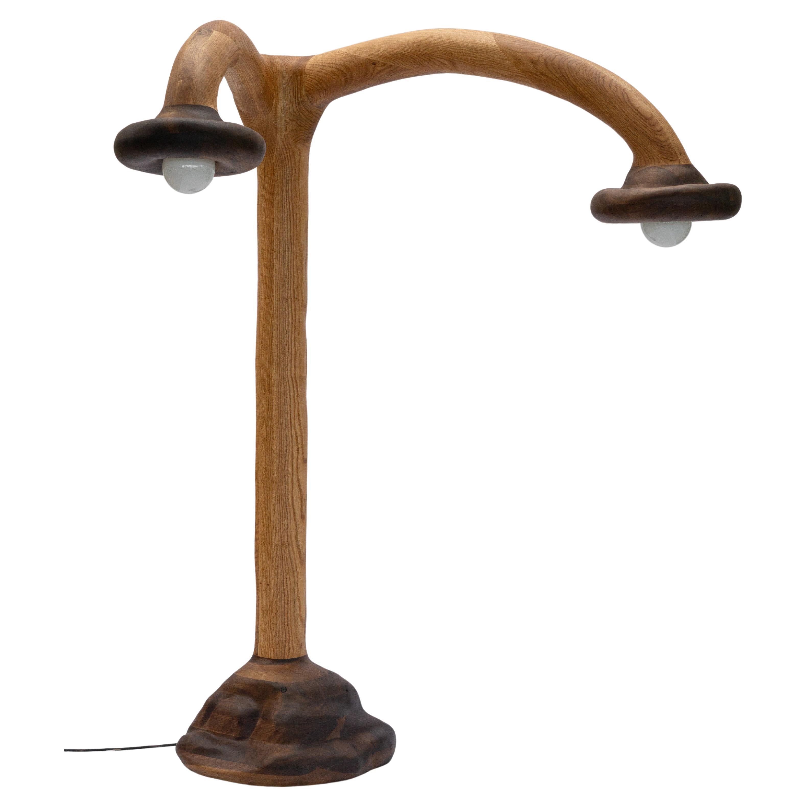 Lámpara de pie escultural - Lámpara de pie de forma orgánica en madera de roble rojo y nogal