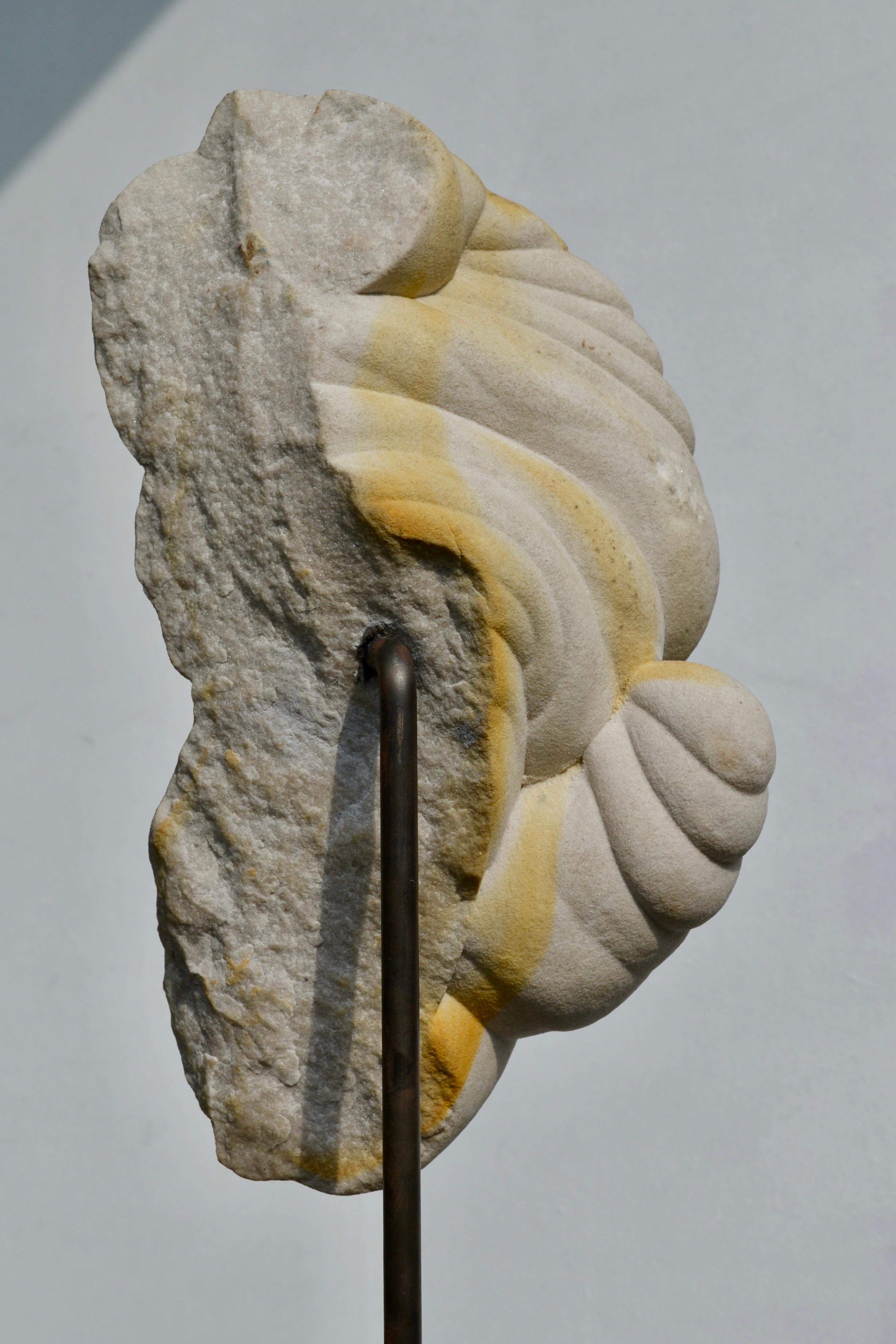 Une extraordinaire formation naturelle de Gogotte à Fontainebleau, en France - un chef-d'œuvre géologique formé il y a des millions d'années à partir de sable de quartz fin fusionné par des eaux riches en minéraux. Avec ses courbes semblables à