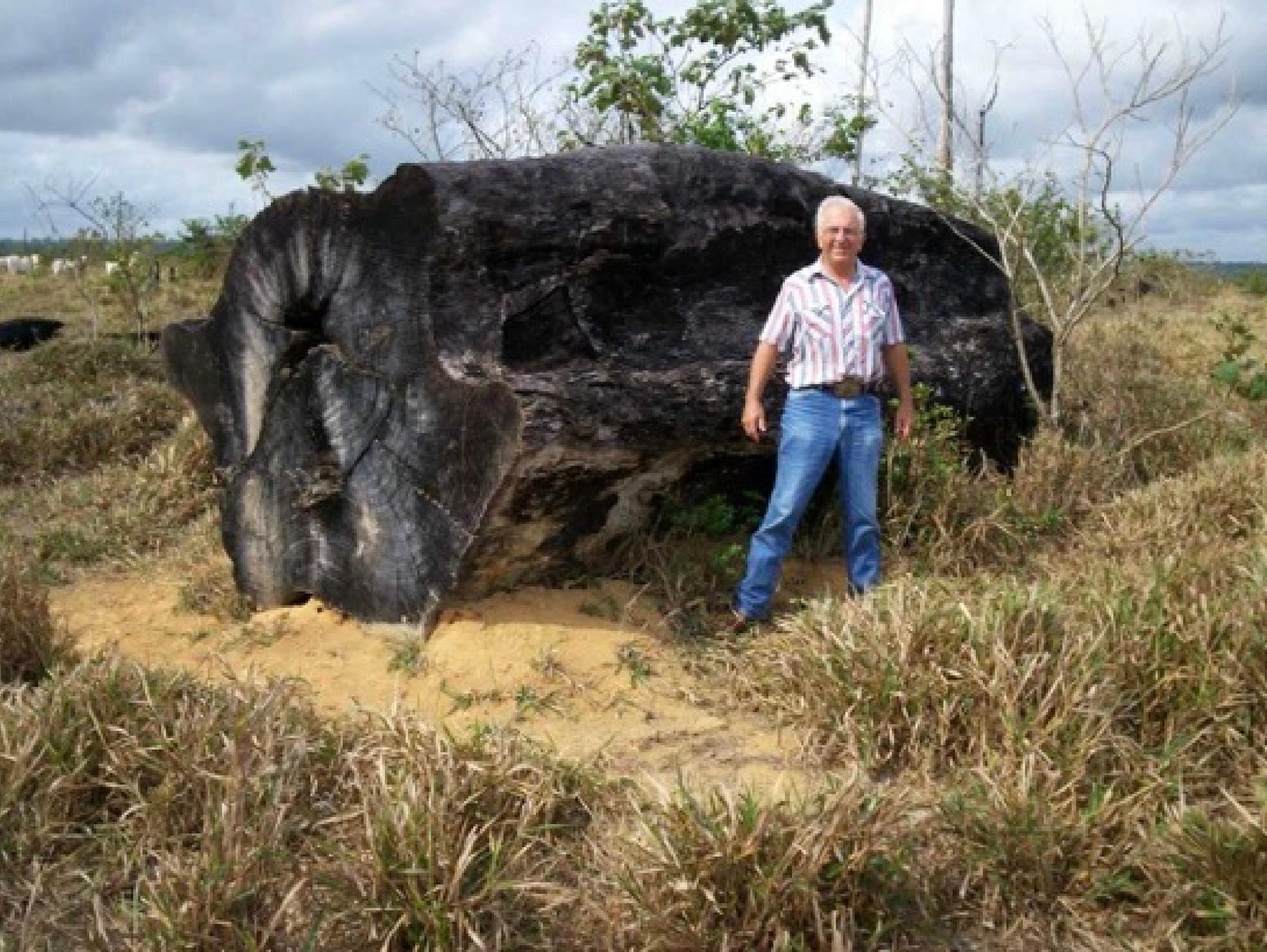 Organic Live-Edge Cross-Cut Slab Coffee Table Crafted from Salvaged Ipé trees. In Excellent Condition For Sale In San Antonio, TX