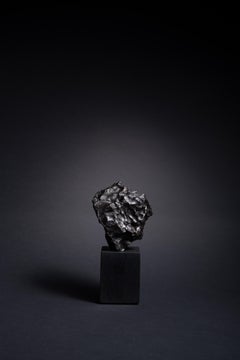 Frammento scultoreo di ferro proveniente dalla pioggia di meteoriti Sikhote-Alin