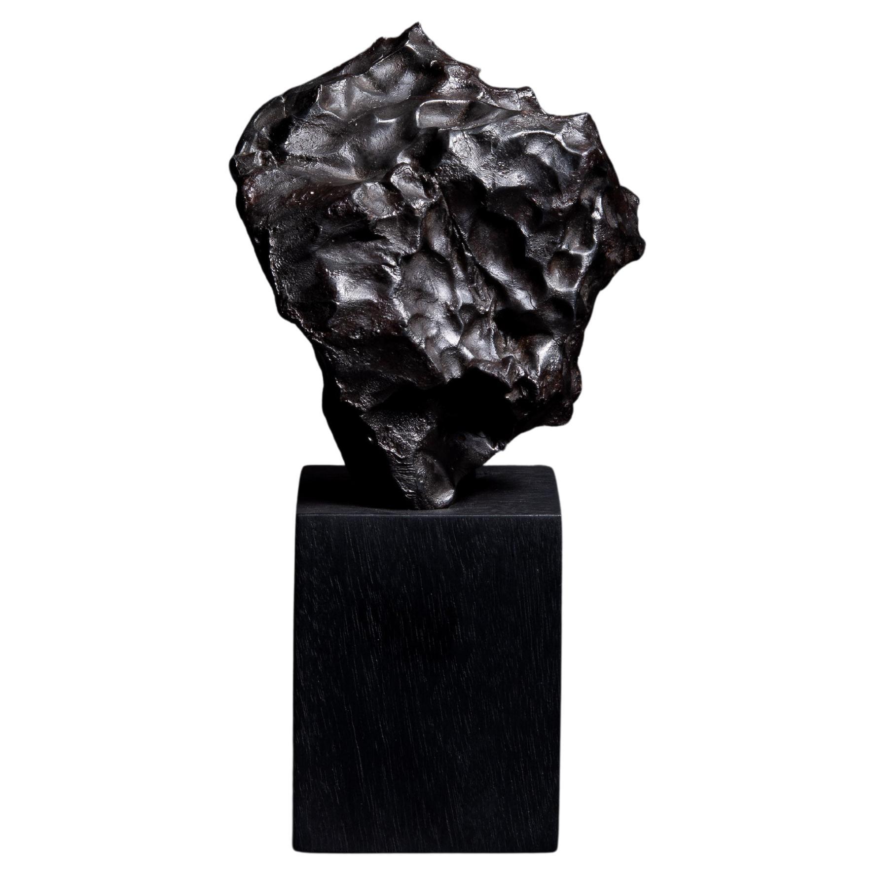 Sculptural Iron Fragment from the Sikhote-Alin Meteorite Shower For Sale