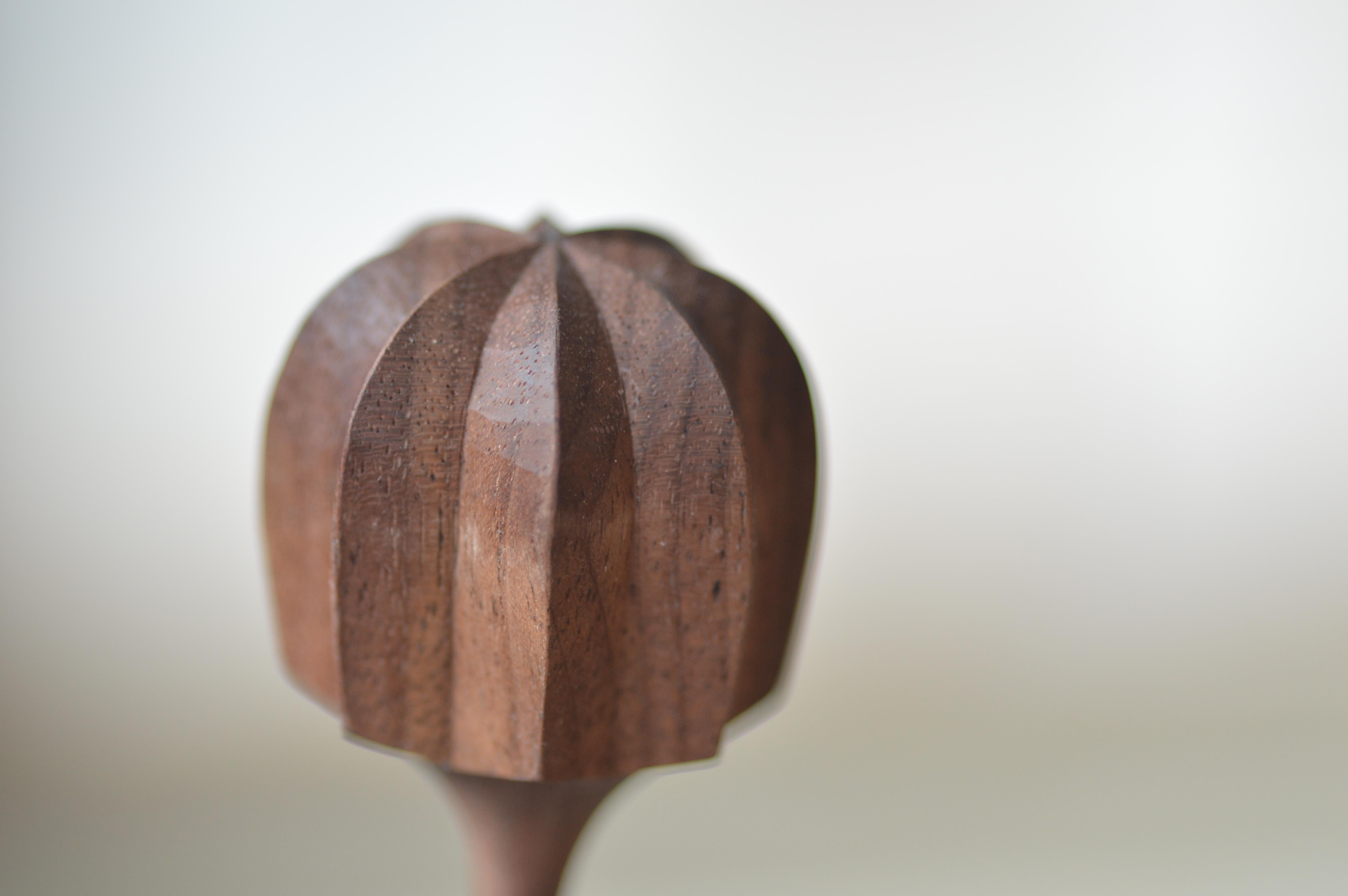 Contemporary Sculptural Kukkii Shelf in Walnut by Antrei Hartikainen For Sale