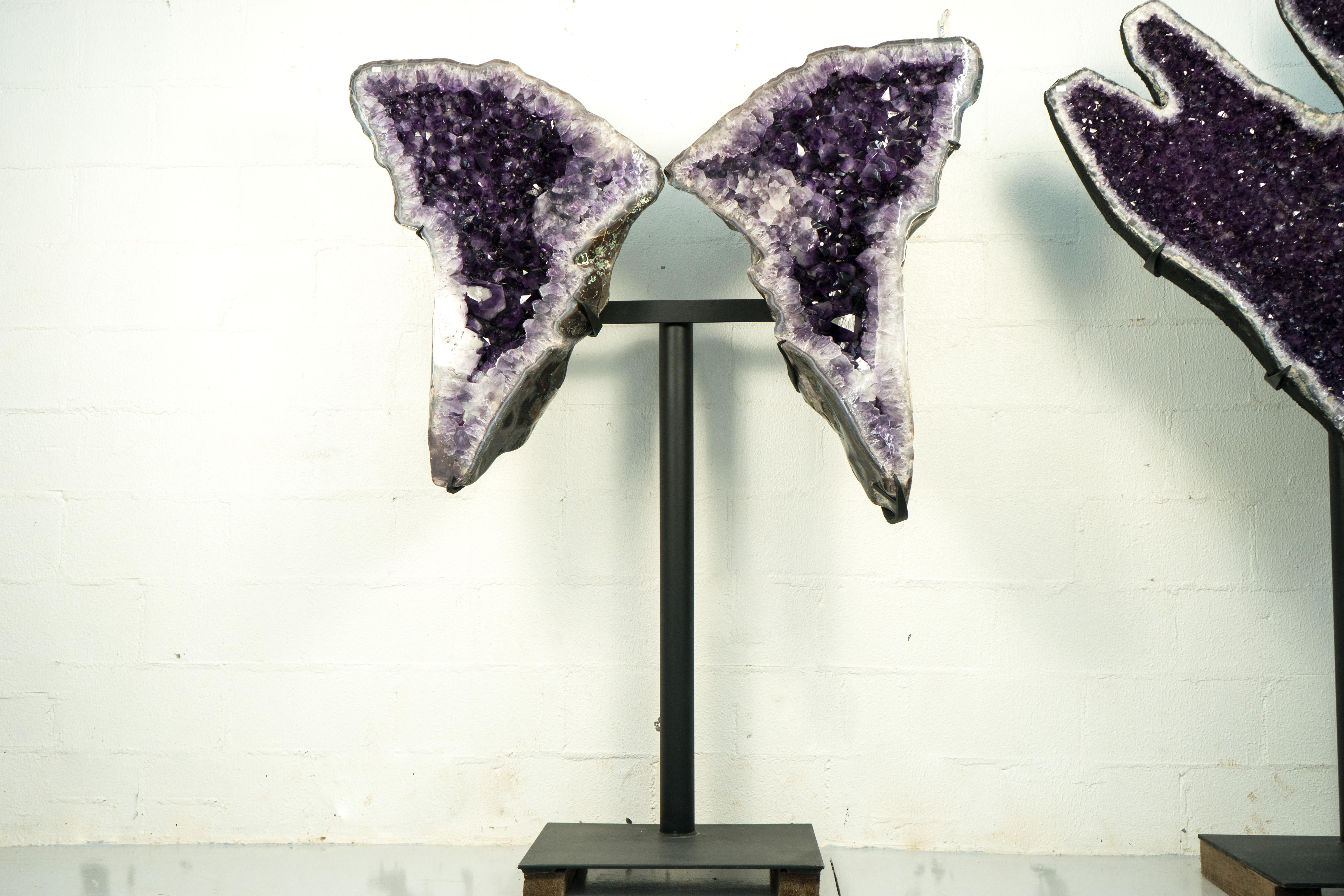 Sculptural X-Large Amethyst Butterfly Wings Geode

▫️ Description

A rare pair of Amethyst Geode Wings with sculptural presence. These majestic specimens showcase shimmering, high-grade, deep purple amethyst crystals, creating a natural treasure