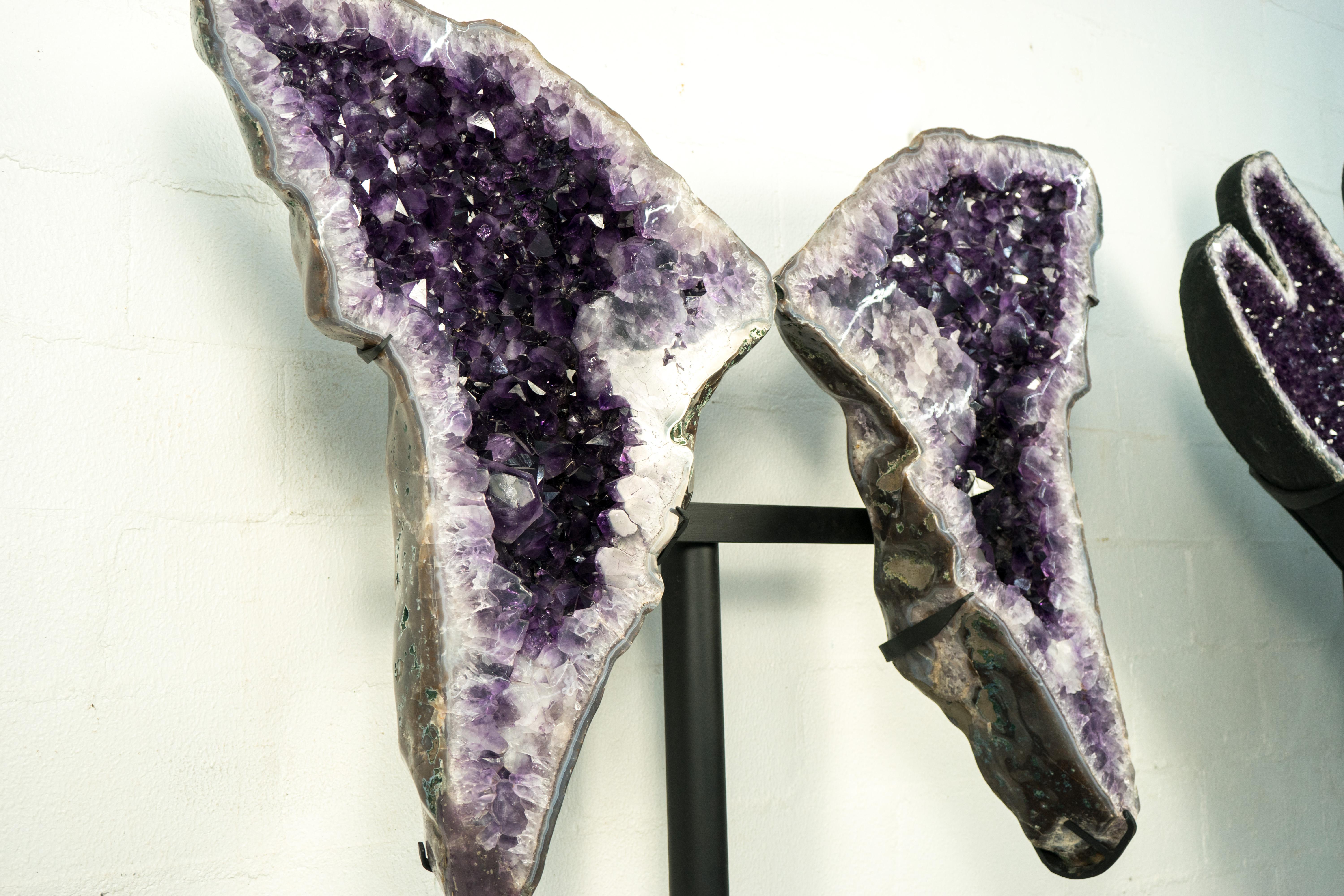 Sculptural Large Amethyst Geode Butterly Wings, High-Grade Deep Purple Amethyst In New Condition For Sale In Ametista Do Sul, BR
