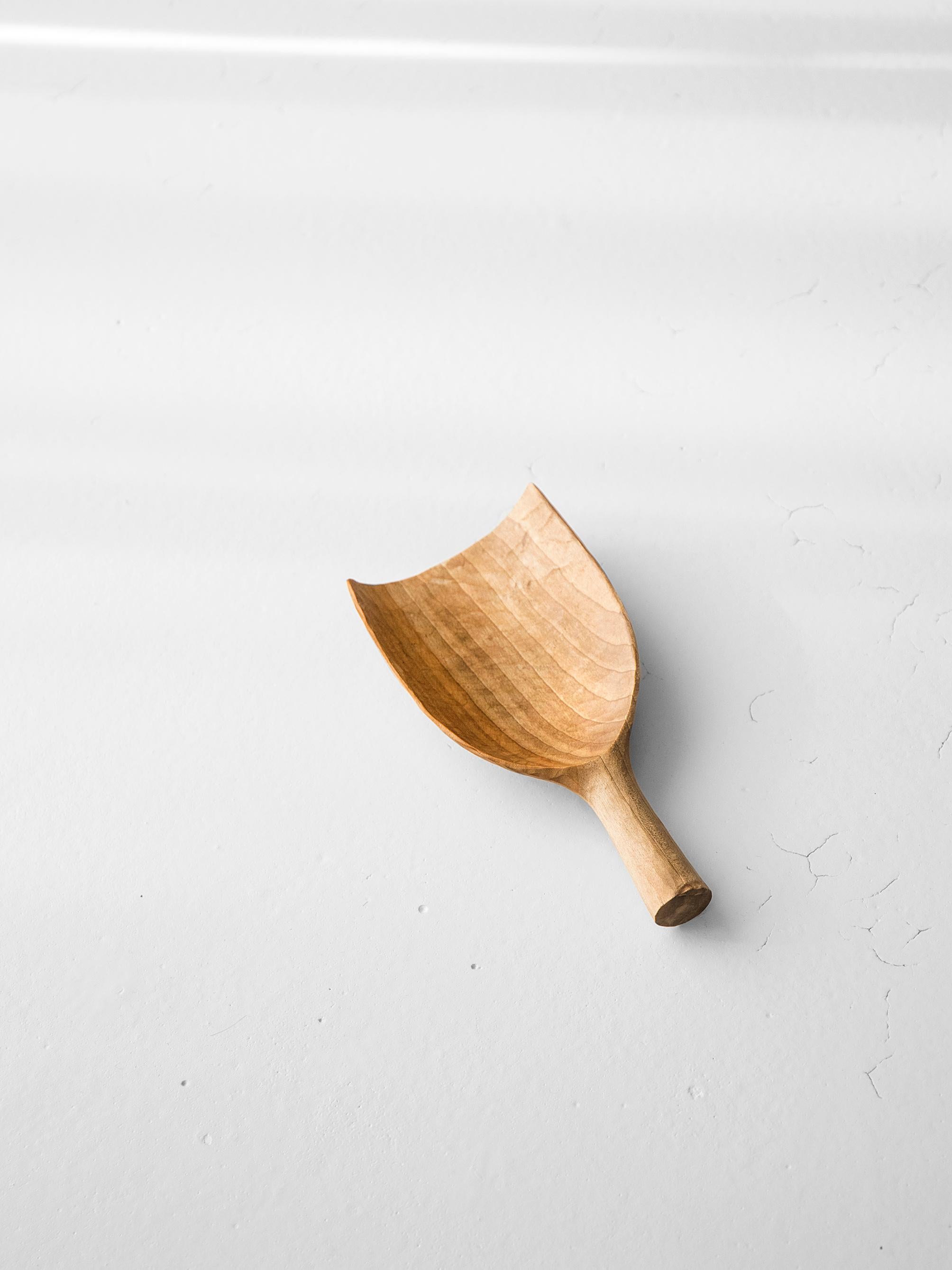 This piece is part of the series of sculptural spoons made by Ferréol Babin. Made of magnolia brought back from a trip to Japan, this spoon required many hours of work. It was entirely hand carved with a gouge for the inner part and a kiridashi -