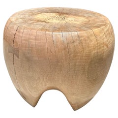 Sculptural Mango Wood Side Table, Hand-Crafted Modern Organic