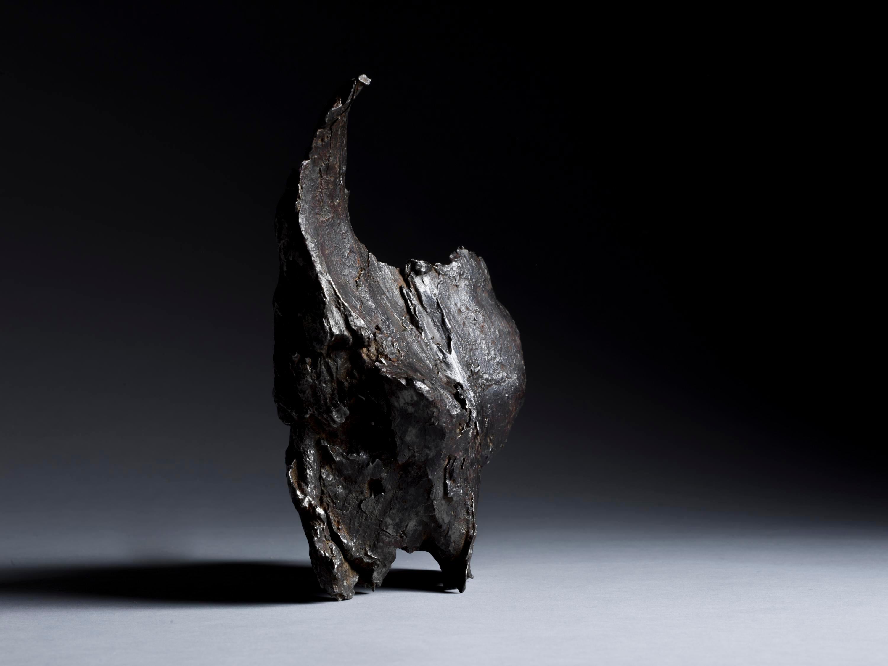 Fragmento escultórico del meteorito Sikhote-Alin en Excelente estado para la venta en London, GB