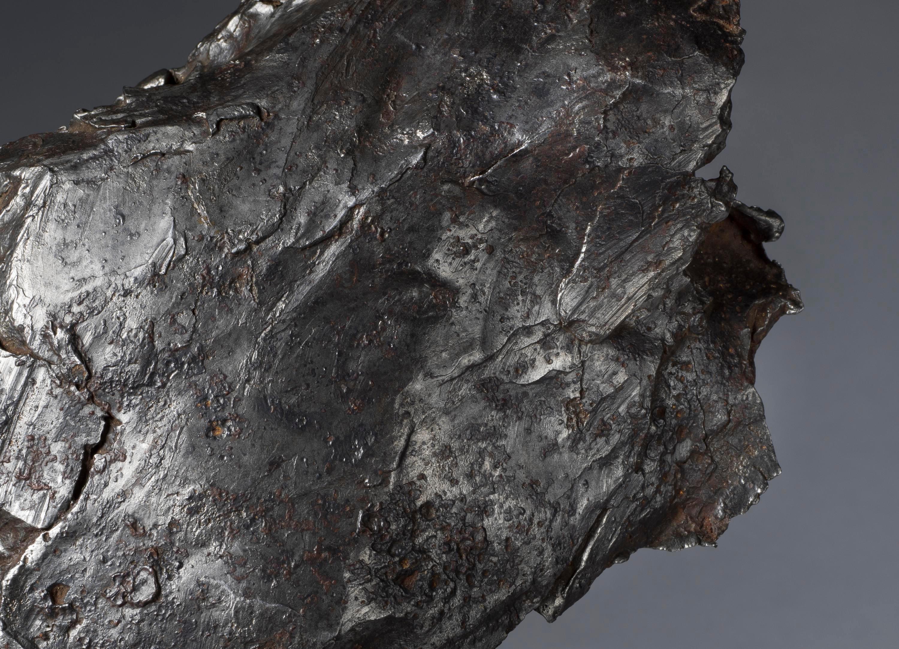 Fragmento escultórico del meteorito Sikhote-Alin Hierro en venta