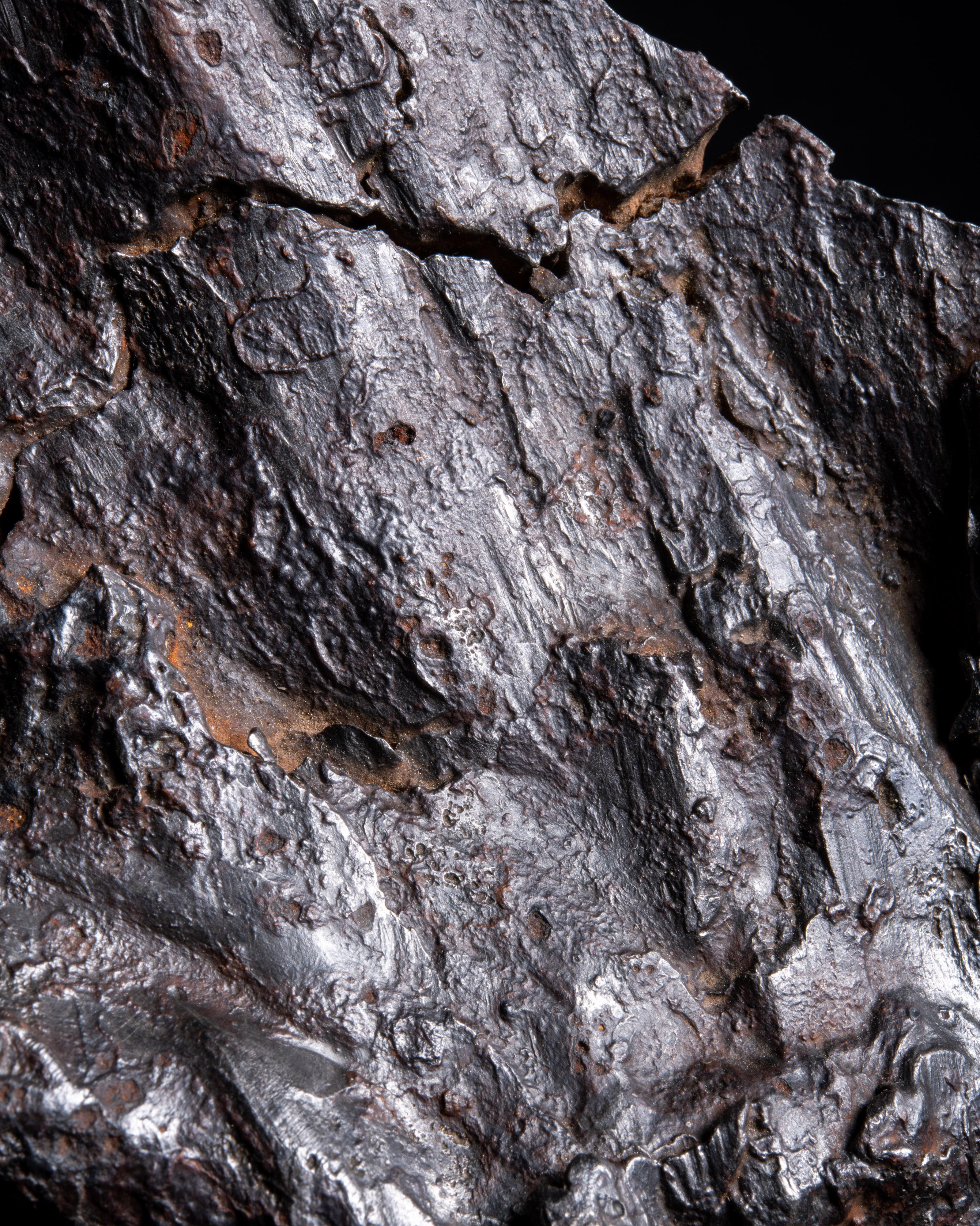 Sculptural Meteorite Fragment from the Sikhote-Alin Meteorite For Sale 2