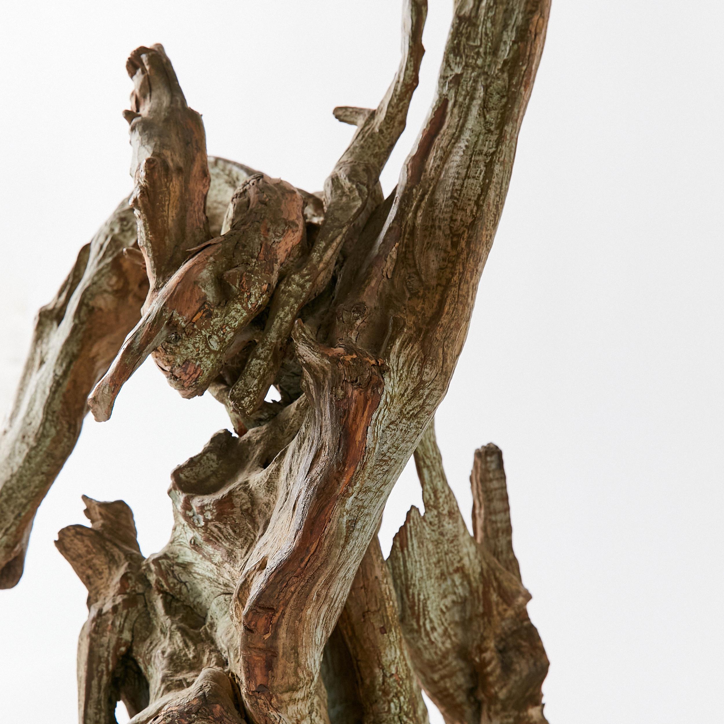 Bois flotté Lampe sculpturale en bois flotté du milieu du siècle en vente
