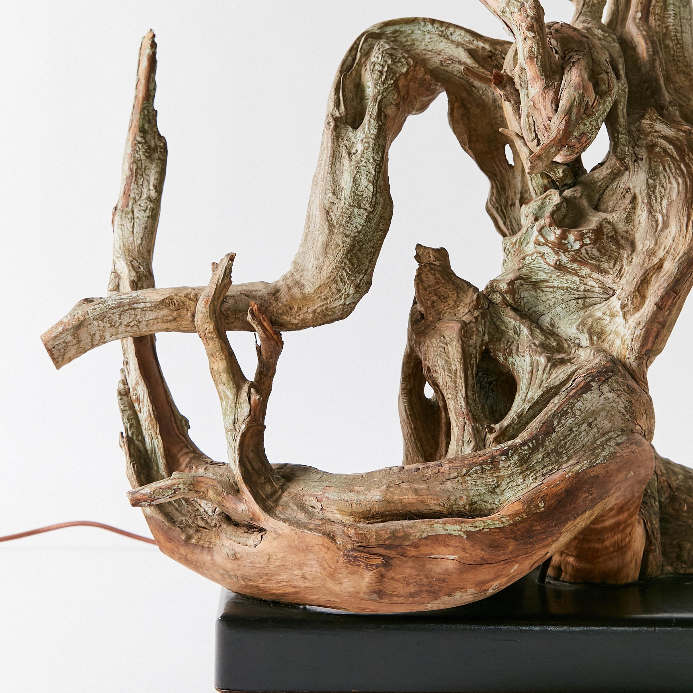 Lampe sculpturale en bois flotté du milieu du siècle en vente 1