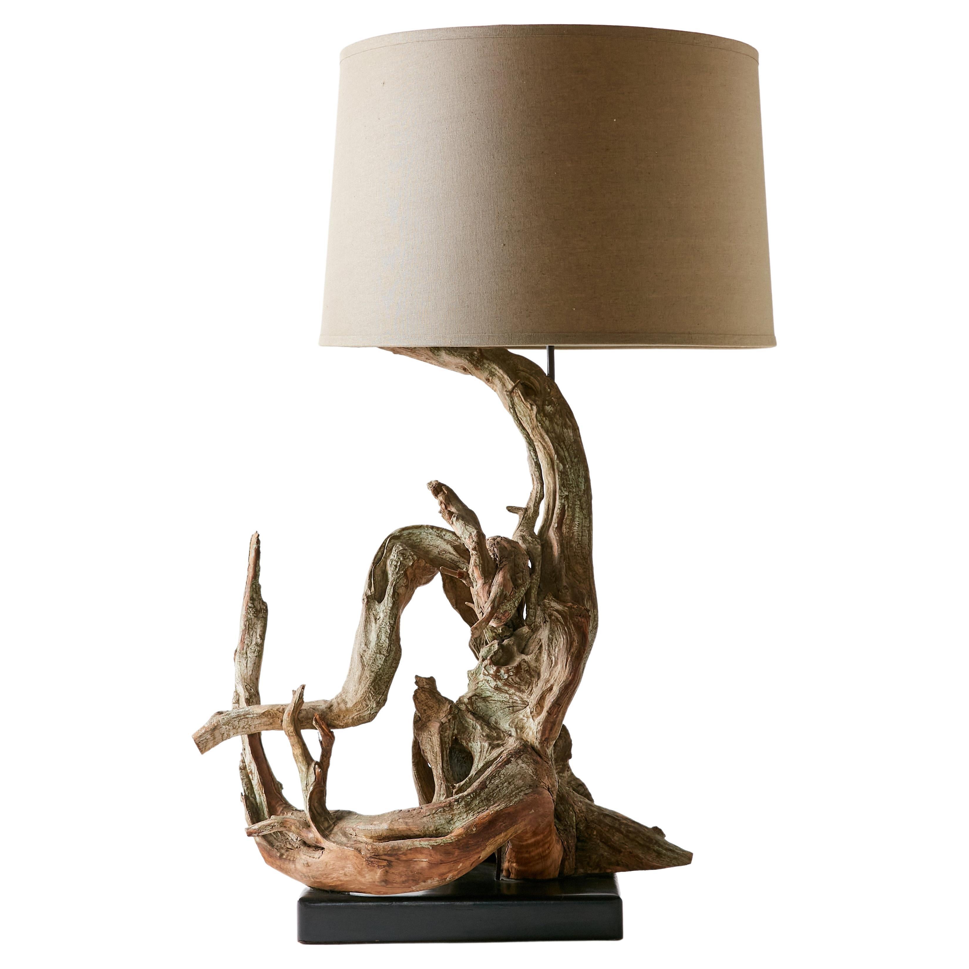 Lampe sculpturale en bois flotté du milieu du siècle