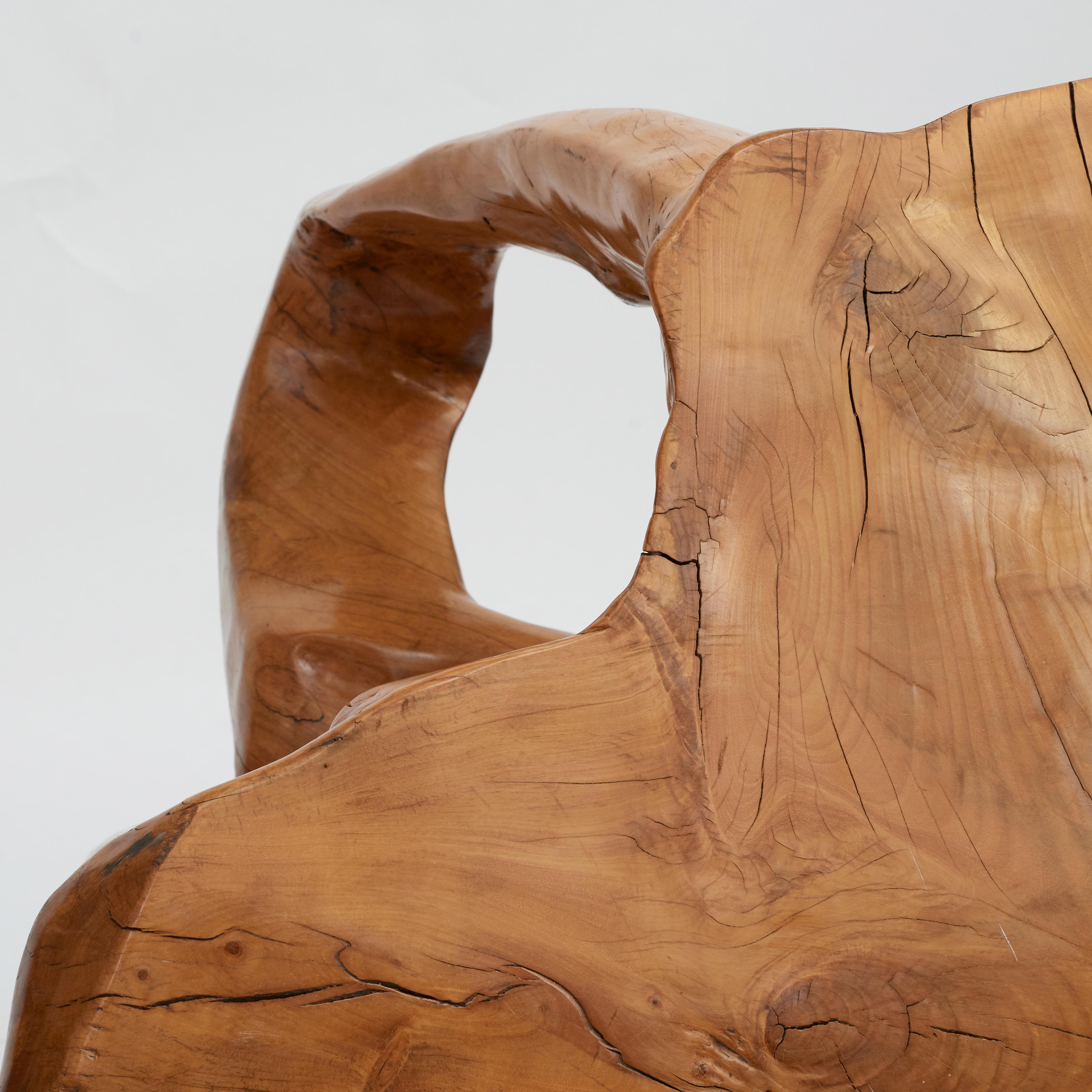 Sculptural Molave Root Table For Sale 1