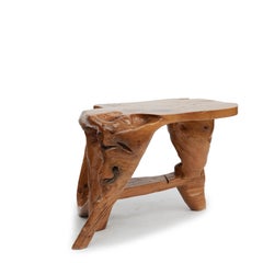 Sculptural Molave Nobel Wood  Root Table