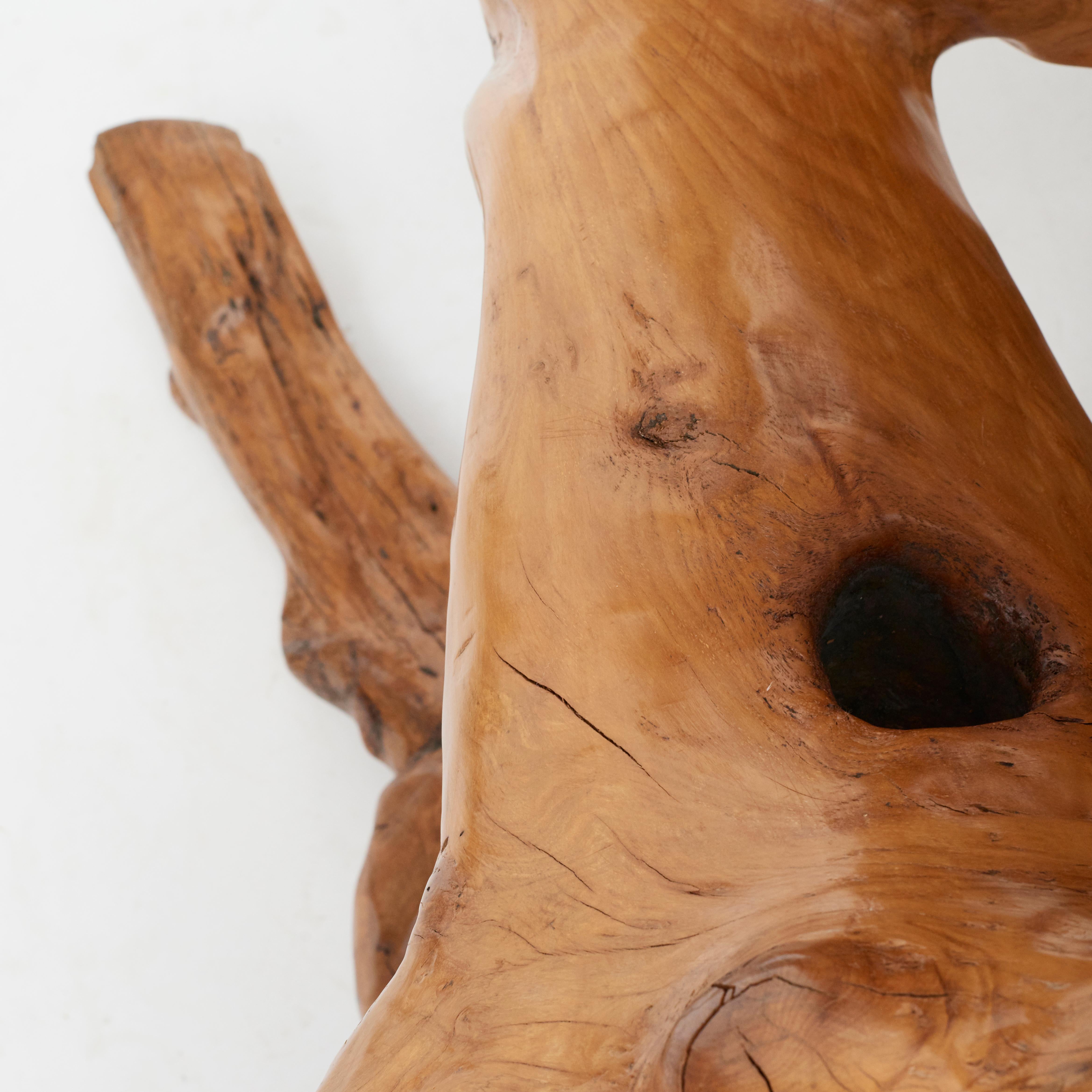 20th Century Sculptural Molave Nobel Wood  Root Table For Sale