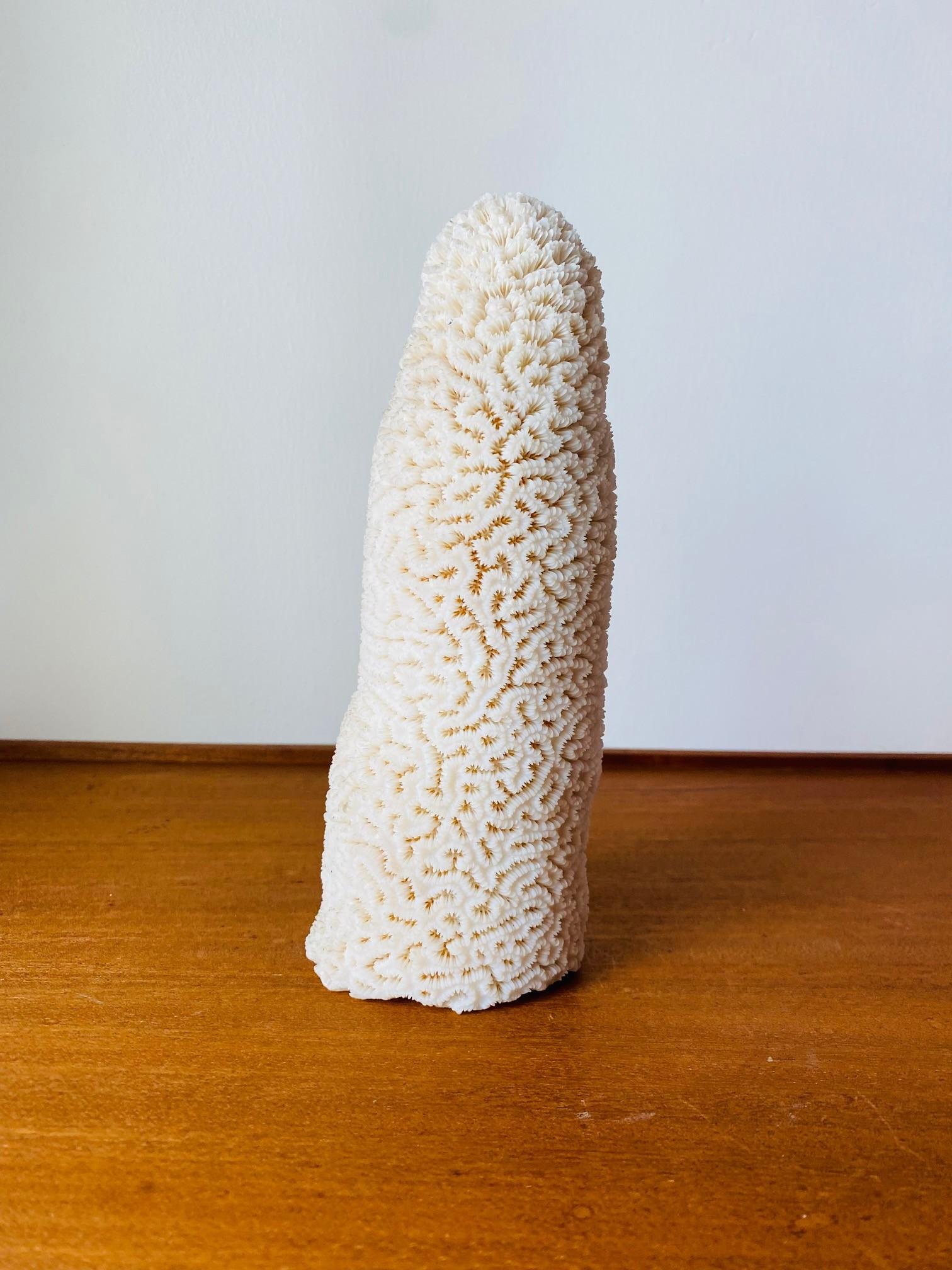 Escultura de Coral Marino Blanco Natural Regencia de Hollywood en venta