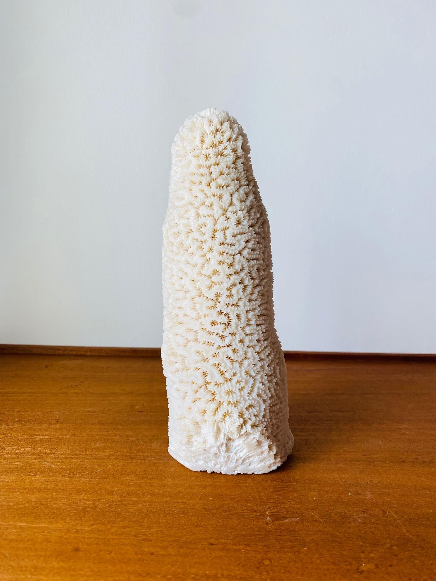 Escultura de Coral Marino Blanco Natural Estadounidense en venta