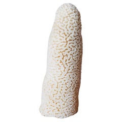 Vintage Sculptural Natural White Sea Coral Specimen